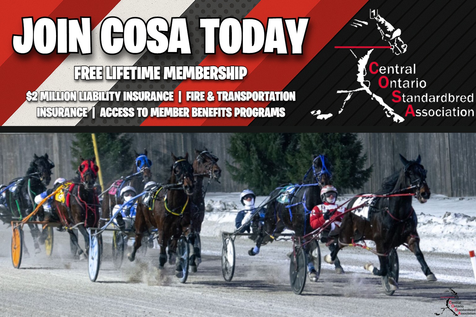 Central - 🐴 Join COSA Today — It’s FREE for Life! 🐴 If you’re part of ...