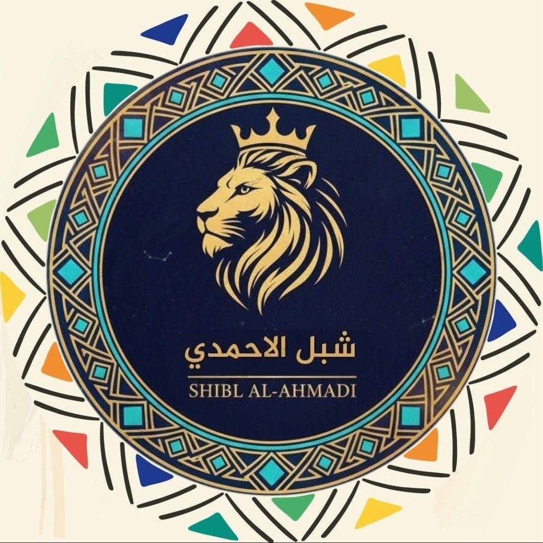 #شاهد_فيديو | إعادة تأهيل عقمة البطان بوادي بنا بتوجيهات محافظ محافظة ...