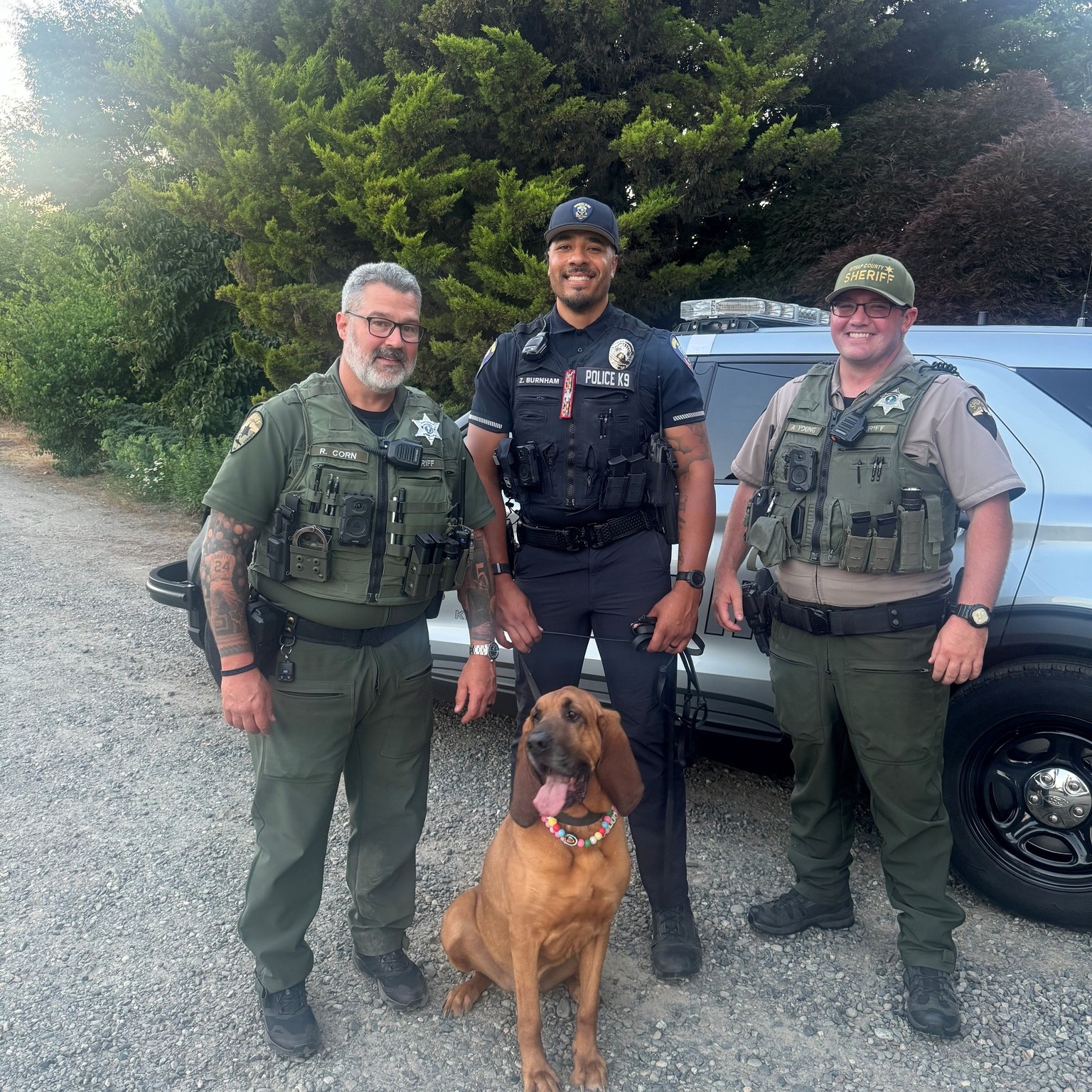 Awesome work by Bainbridge Island PD