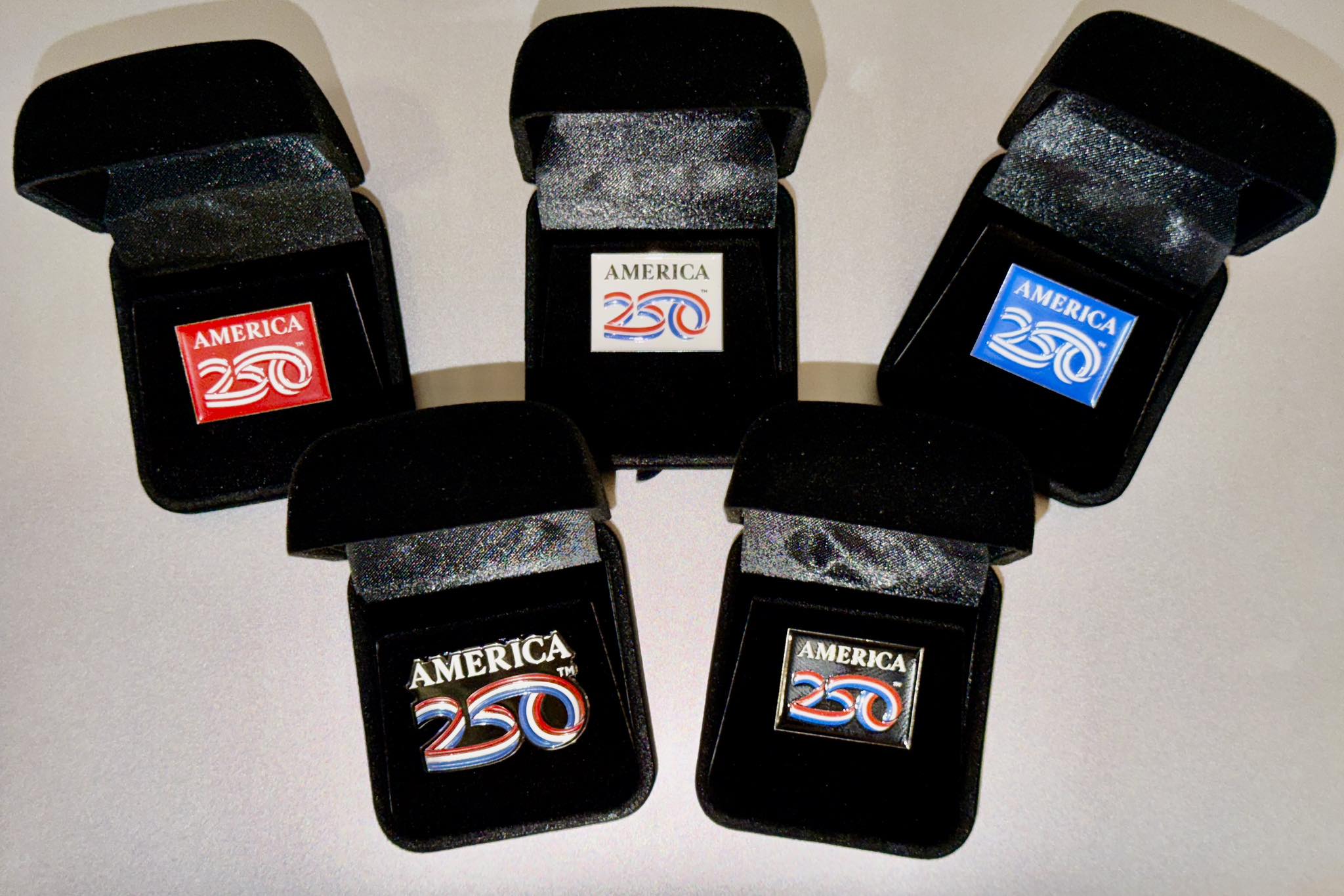 VALOR COINS and PINS