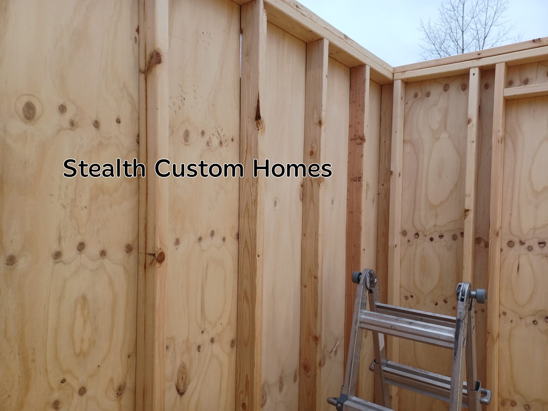Curated visual reference: Visual Reference: Stealth Custom Homes