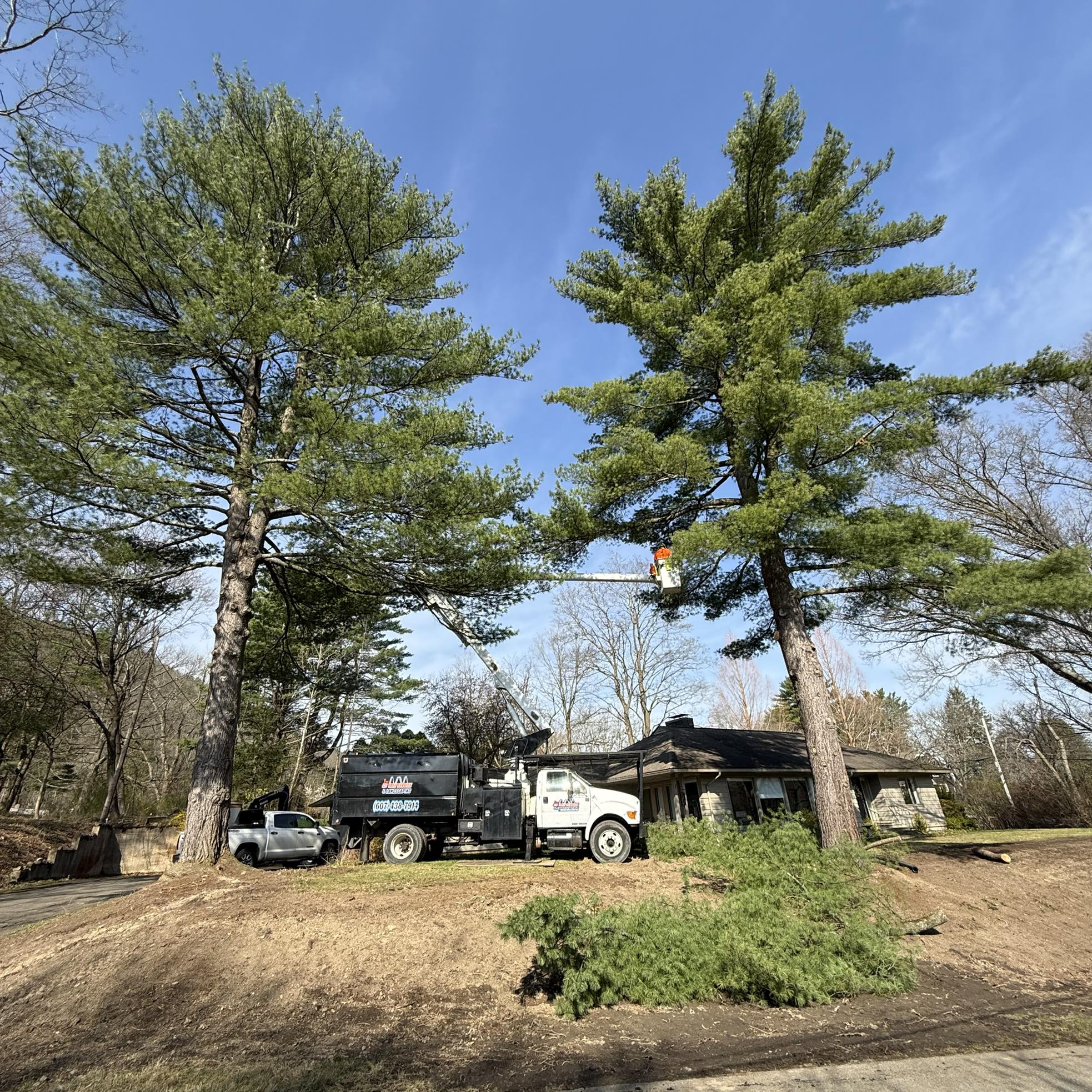 We’ve been a little quiet... - CS Tree Service & Landscaping | Facebook