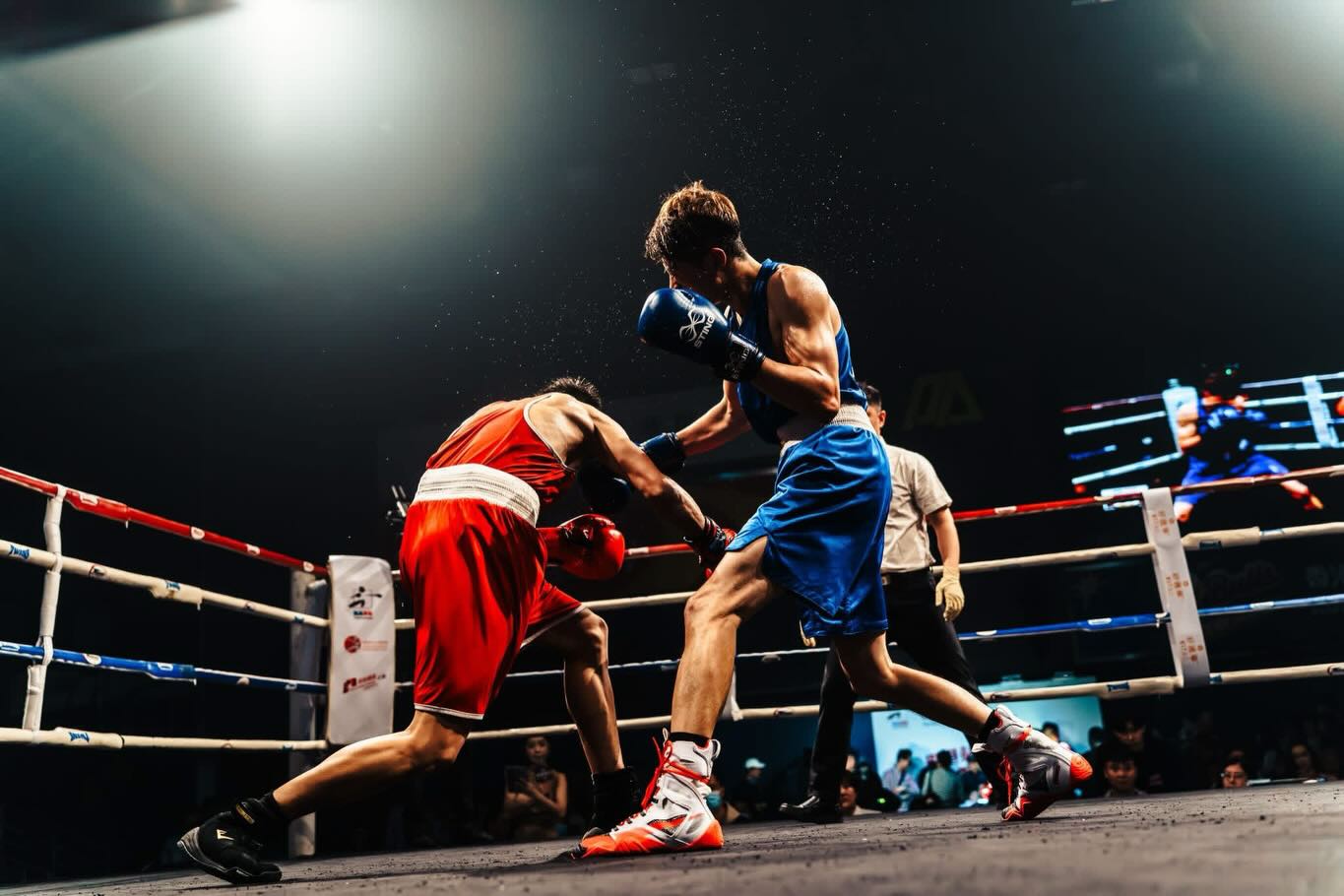 Boxing Mania Fitness & TMA... - Boxing Mania Fitness & TMA