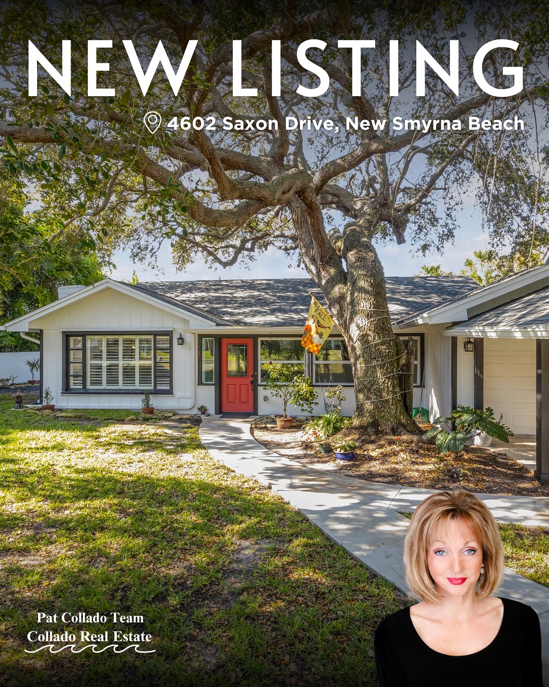 Pat Collado Team - Collado Real Estate | New Smyrna Beach FL
