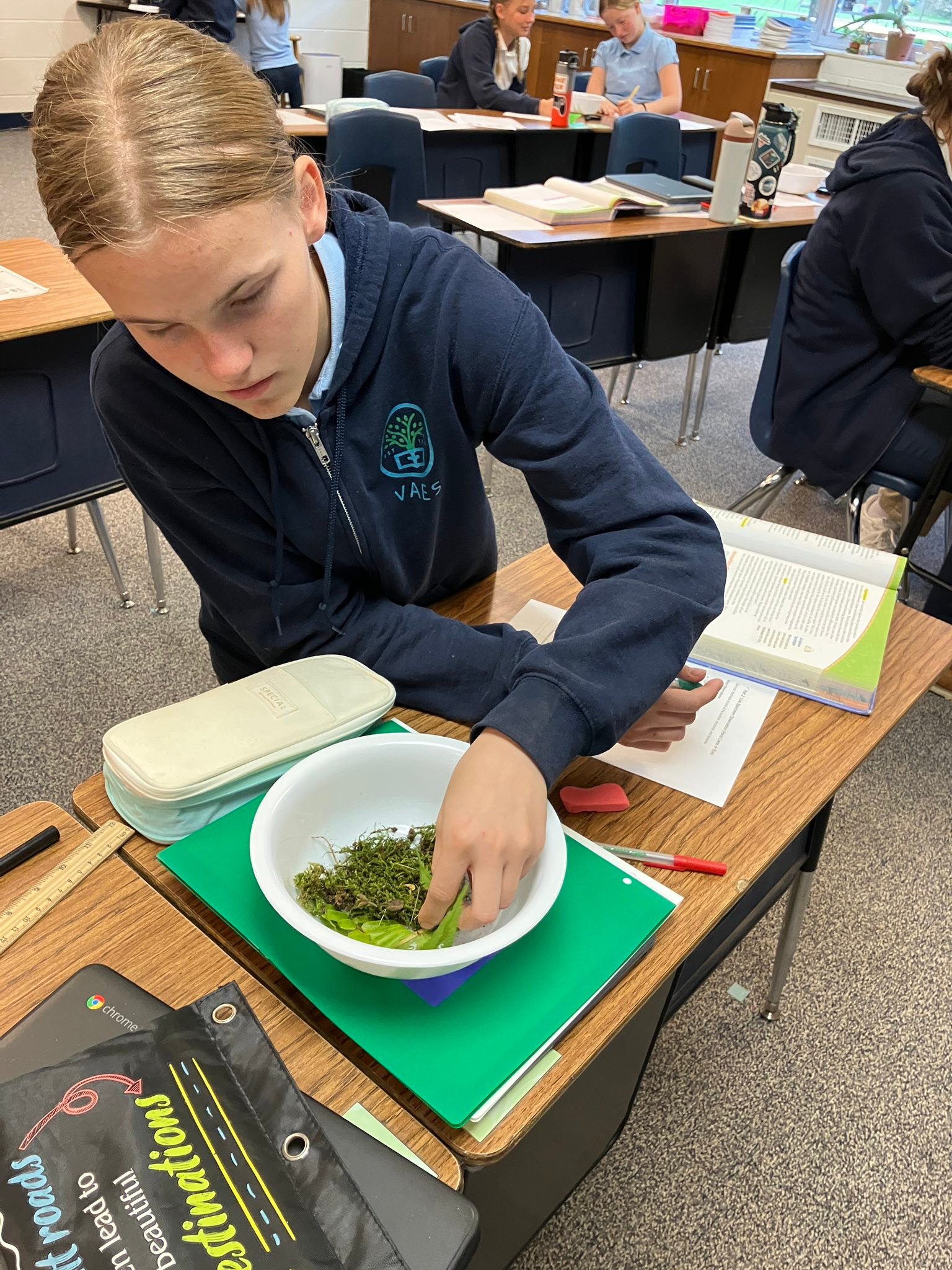 Village Adventist... - Village Adventist Elementary School