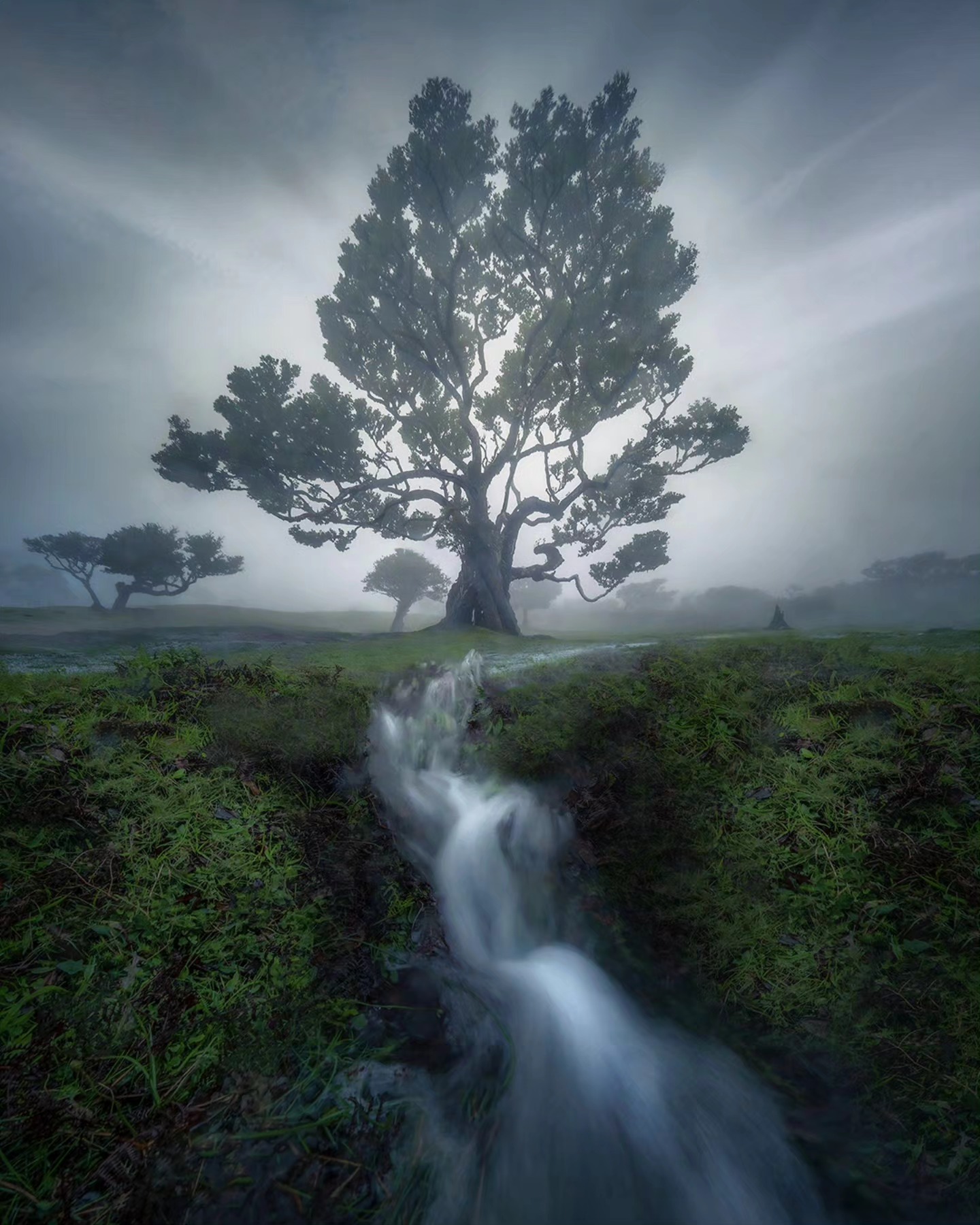 Max Rive Photography added a new... - Max Rive Photography