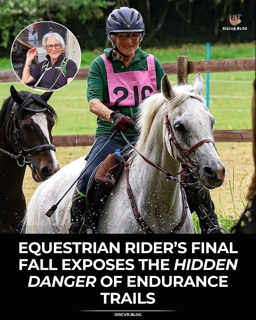 Discvr - There’s a reason equestrian medicine is its own field. Riding ...