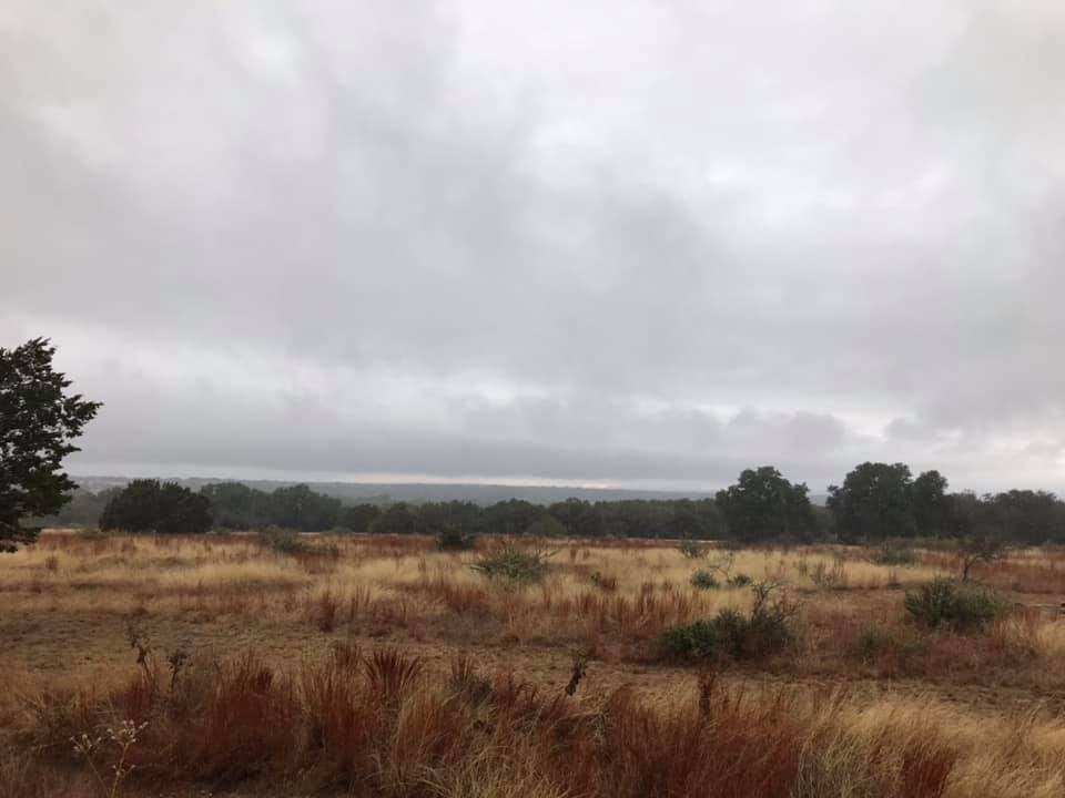 Blue Top Ranch