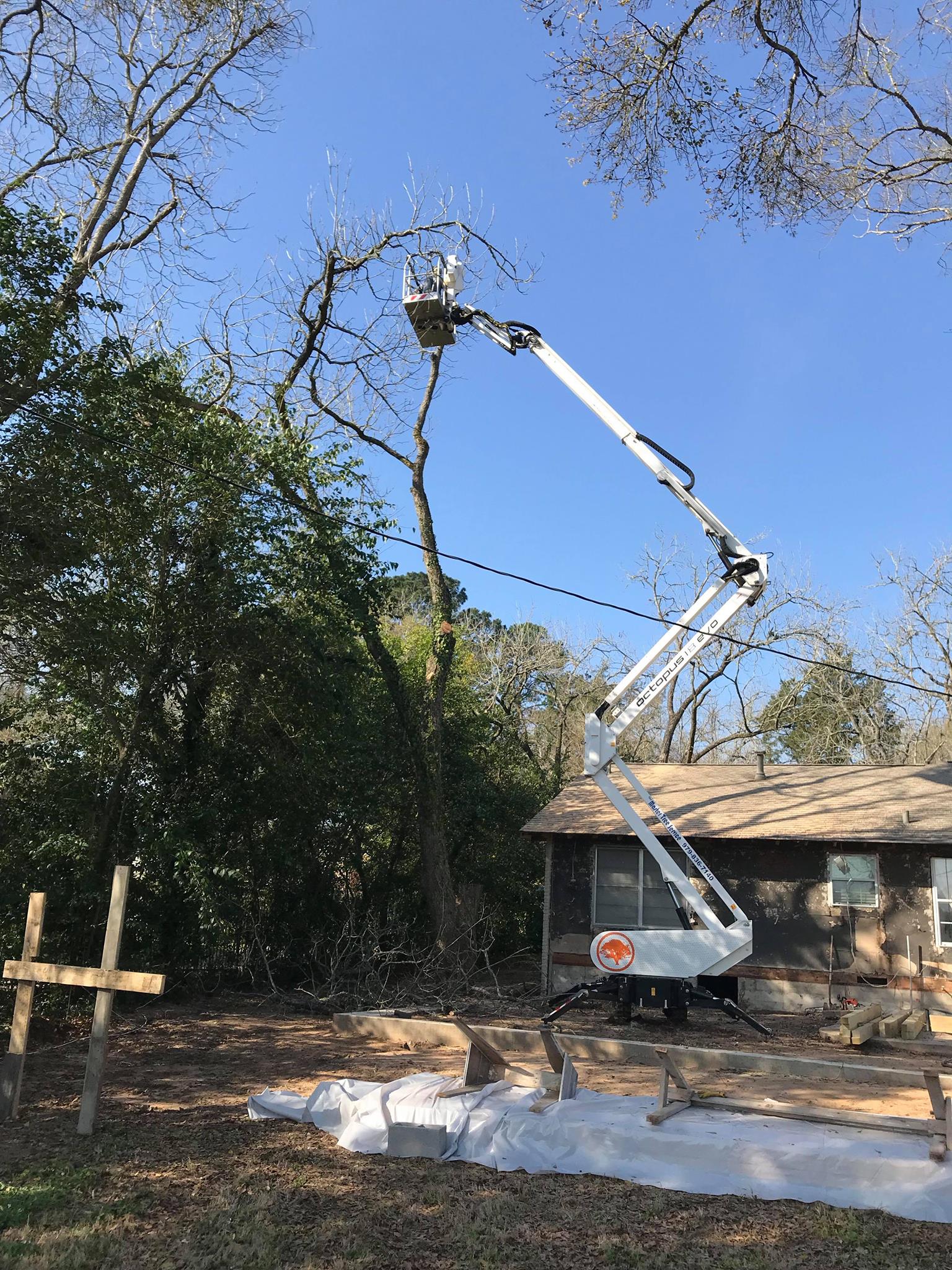 Master Tree Service, All Trees Service DBA | Brenham TX