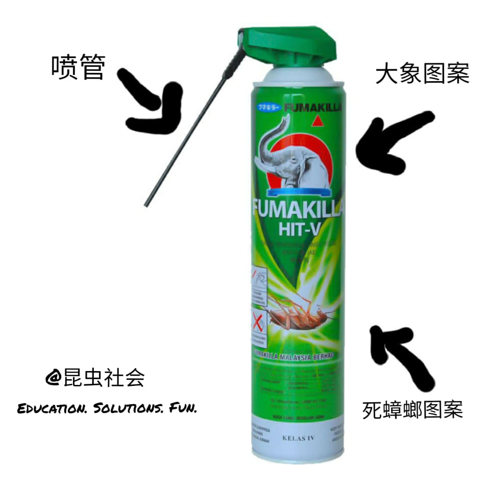 昆虫社会 在马来西亚 有很多人包括我的朋友圈 不管是蟑螂喷雾或者是蚊虫喷雾都通称 蚊油 由此可见 有很多人其实分 Facebook
