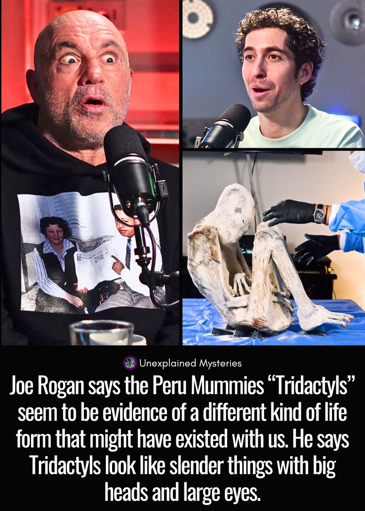 Unexplained - Joe Rogan says the Peru Mummies “Tridactyls” seem to be ...