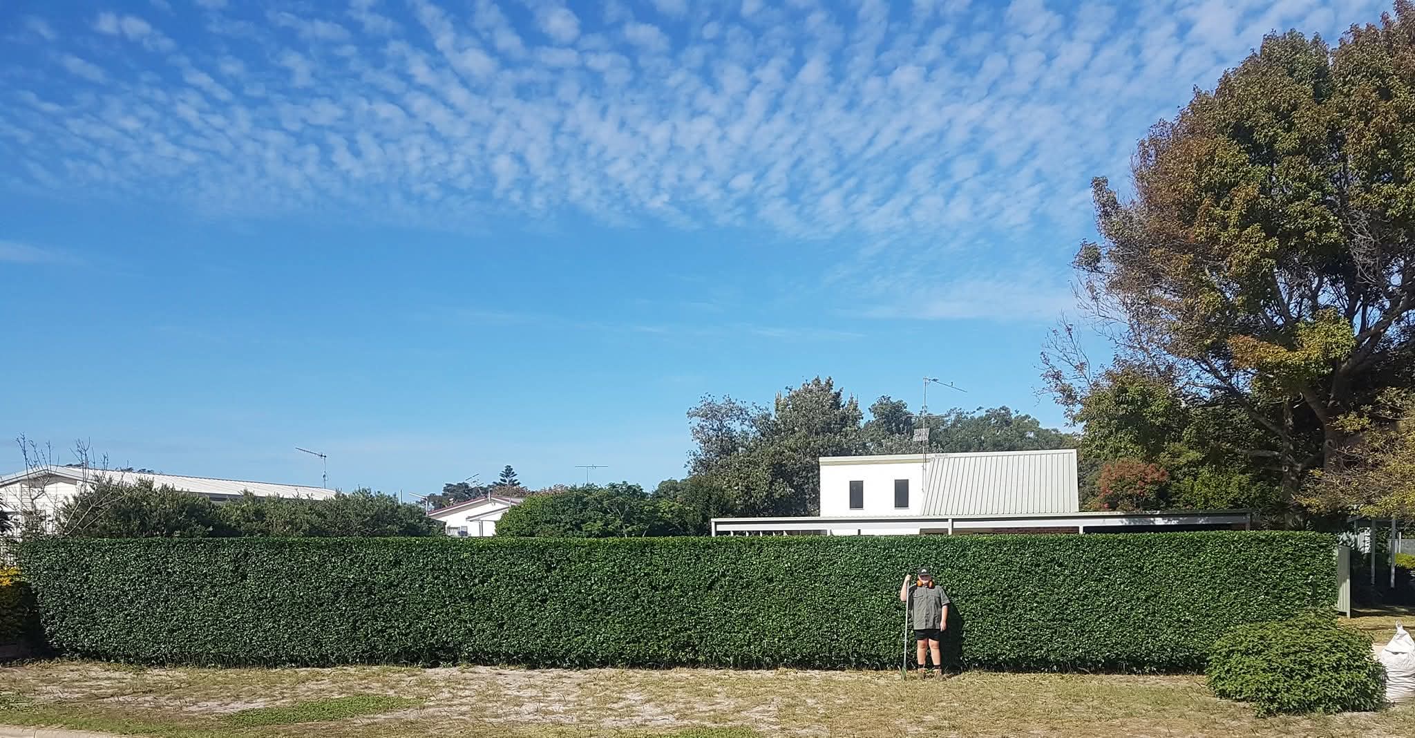 Macca's Lawn Care Service... - Macca's Lawn Care Service