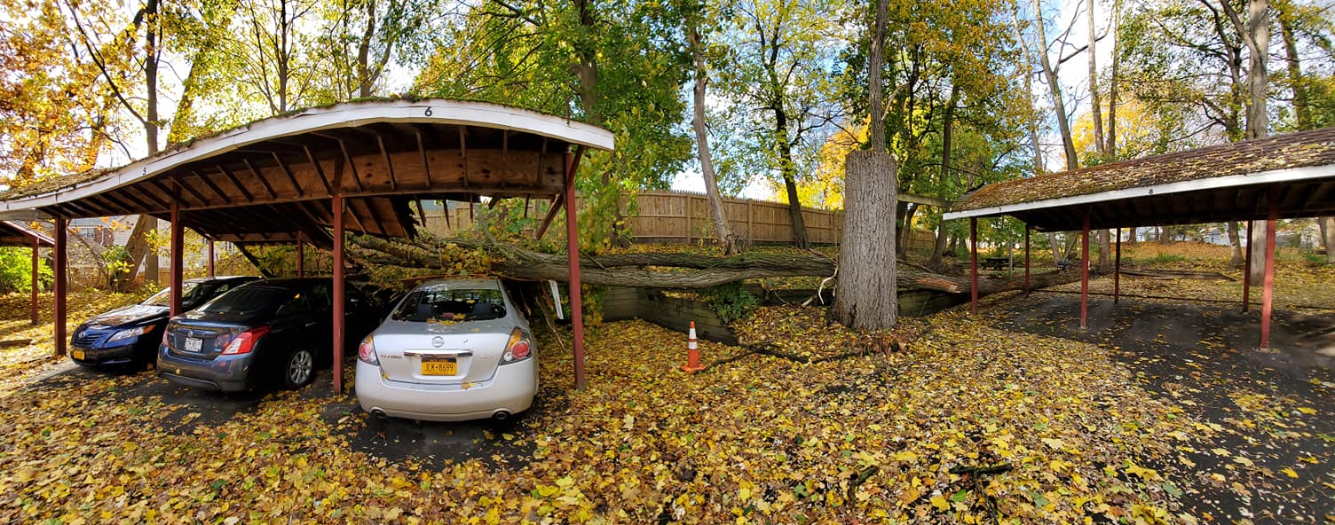 Tree Top Techs, LLC | Ballston Spa NY