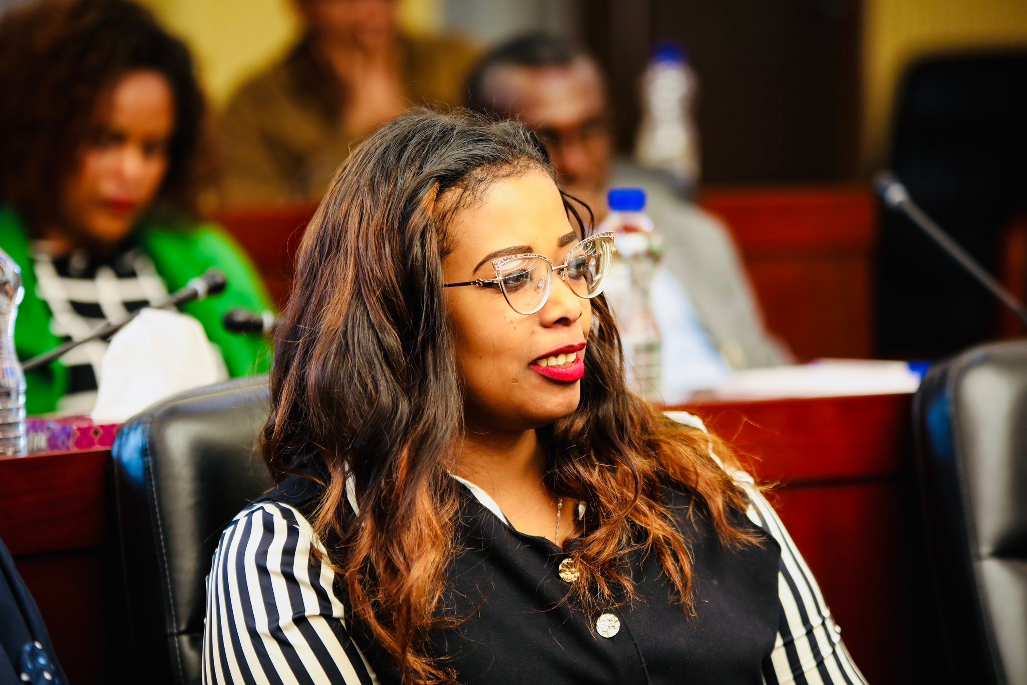 Federal First... - Federal First Instance Court Of Ethiopia