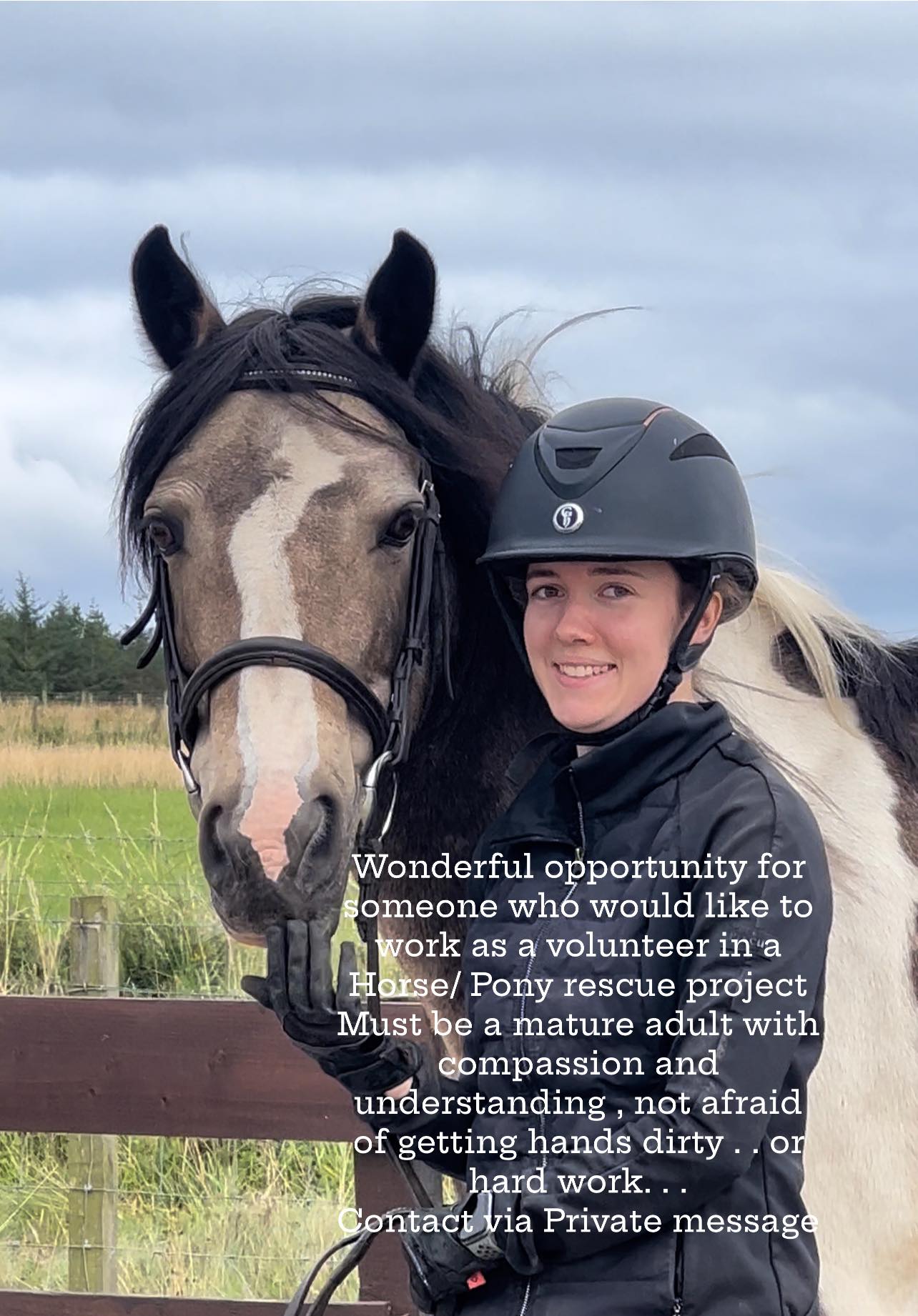 Horsin Around Lyth | Wick