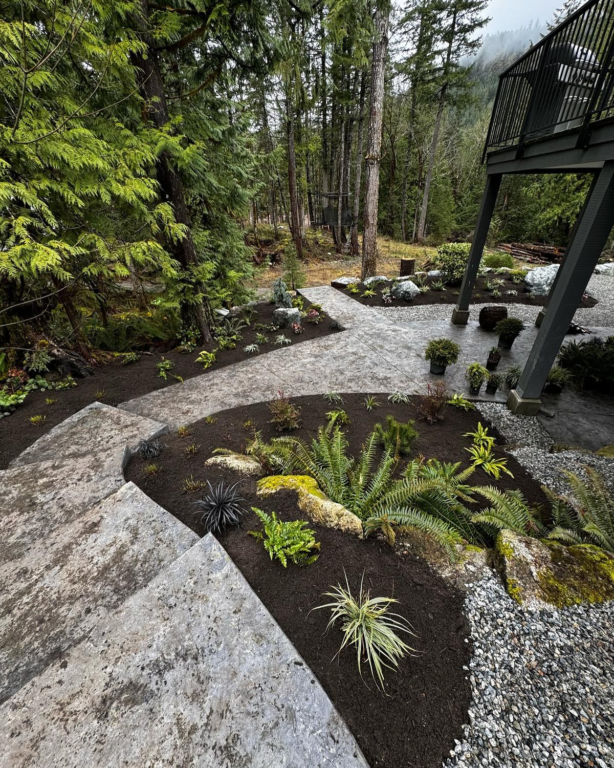 Deep Roots Landscape