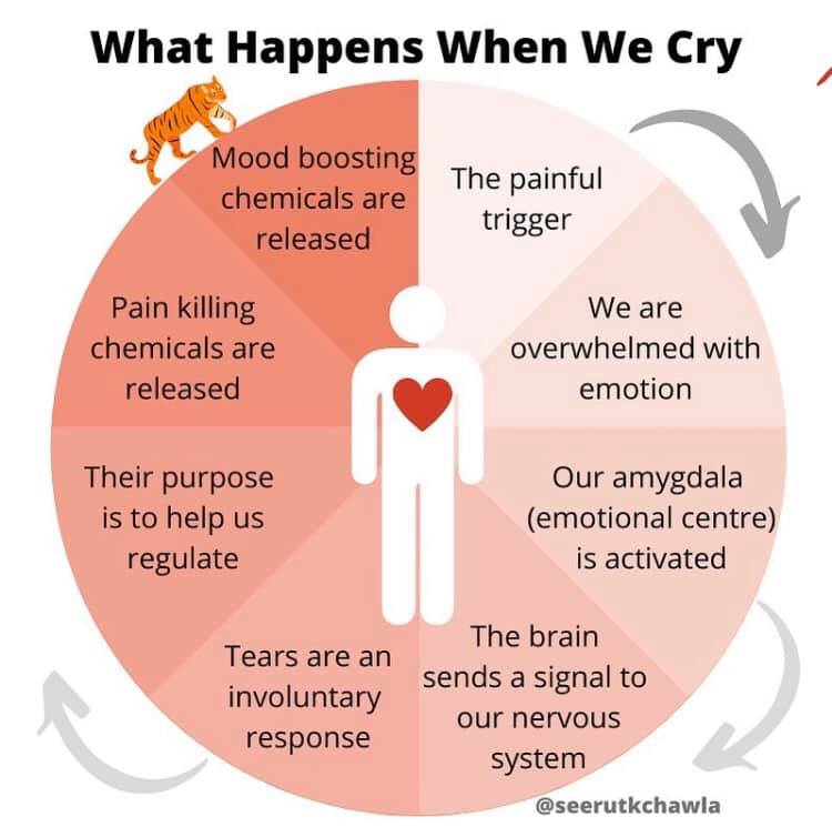 AutoimmuneErin - The process of crying & what happens...
