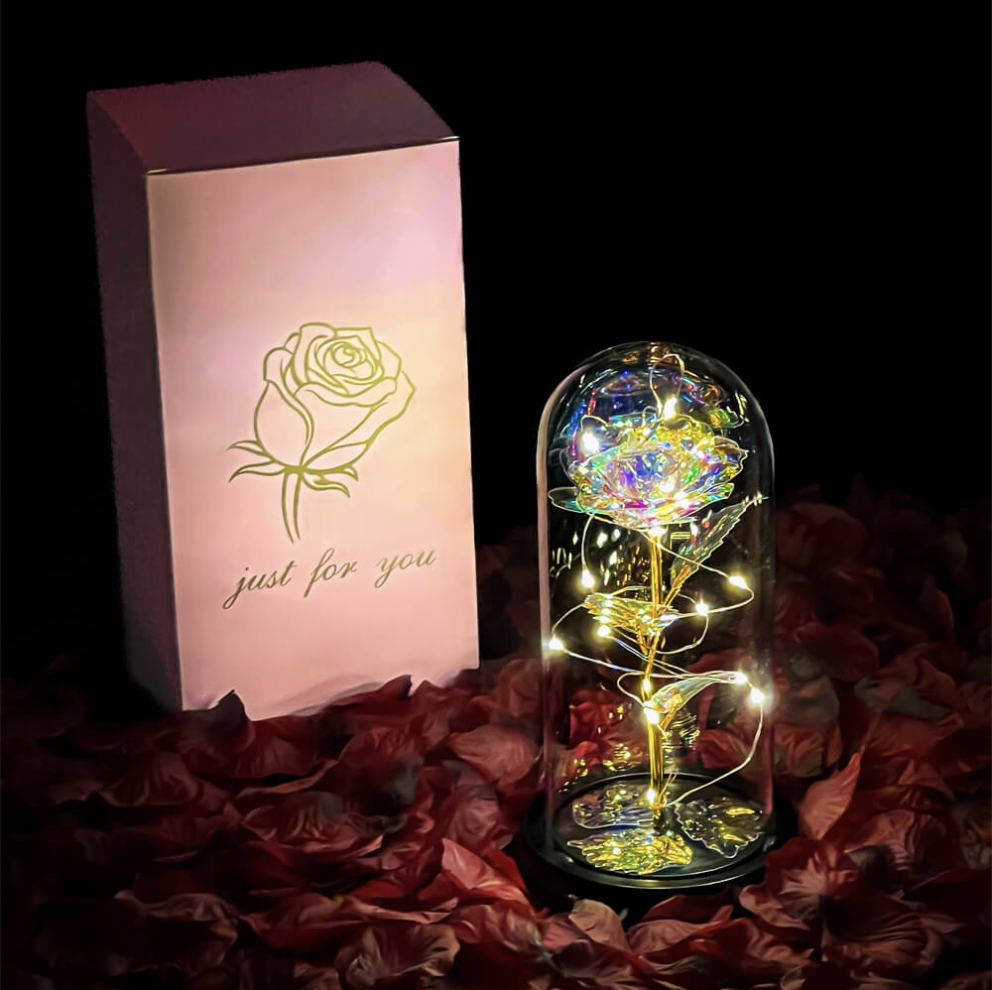 LumenBloom