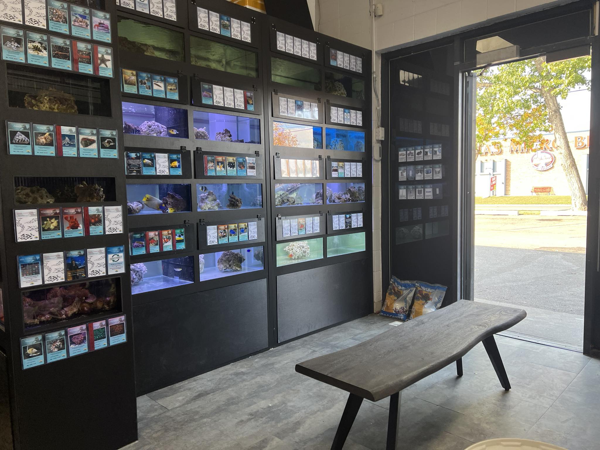 Here is what’s in stock... - Fin Gallery Aquariums Calgary | Facebook