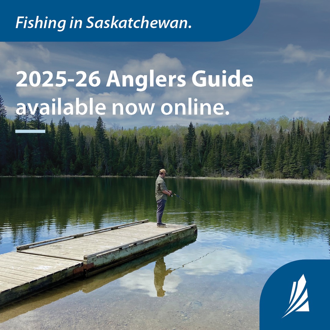 🎣 Spring is here at Lake... - Sandy Shores Resort | Facebook