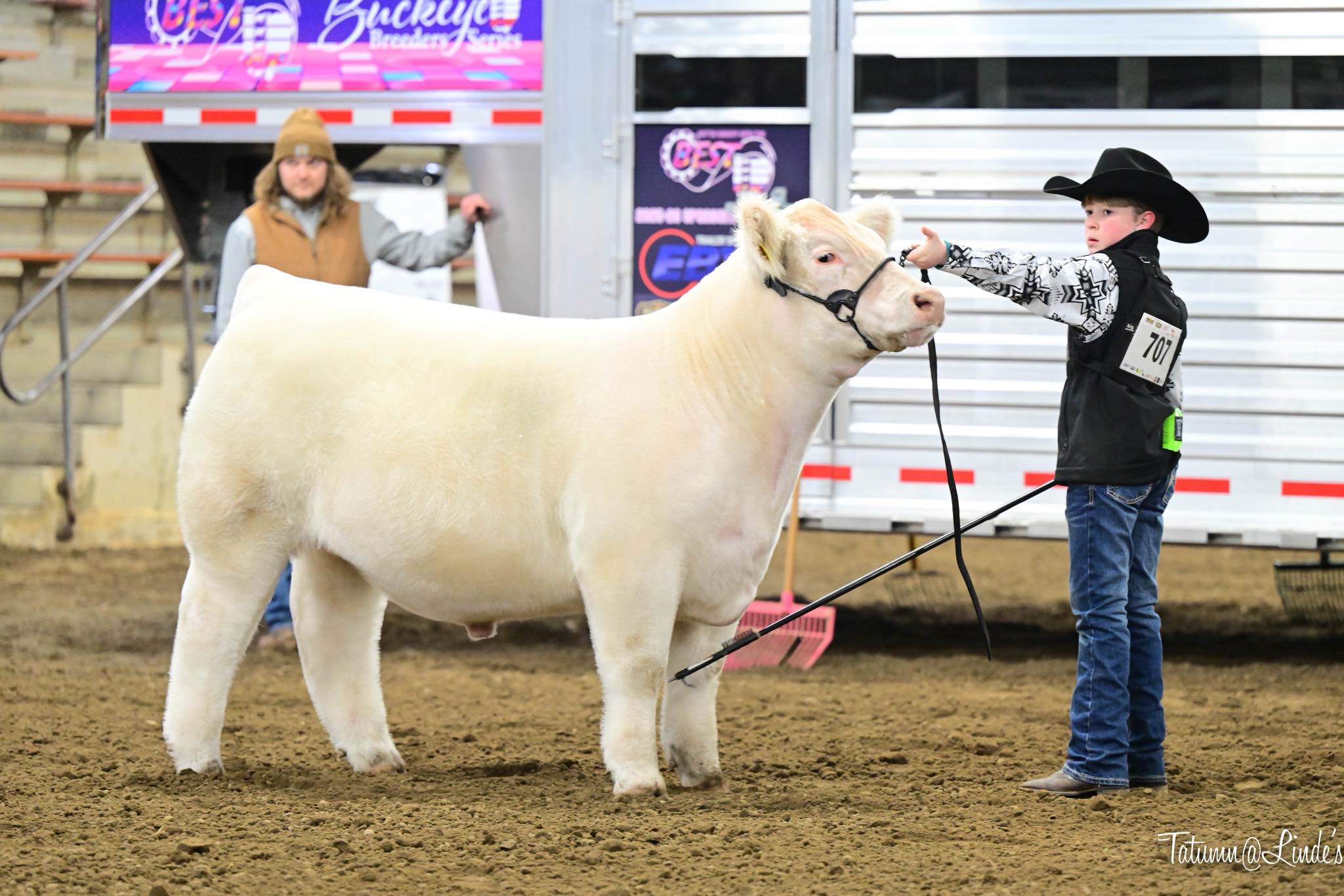 Dupler Cattle | Mount Perry OH