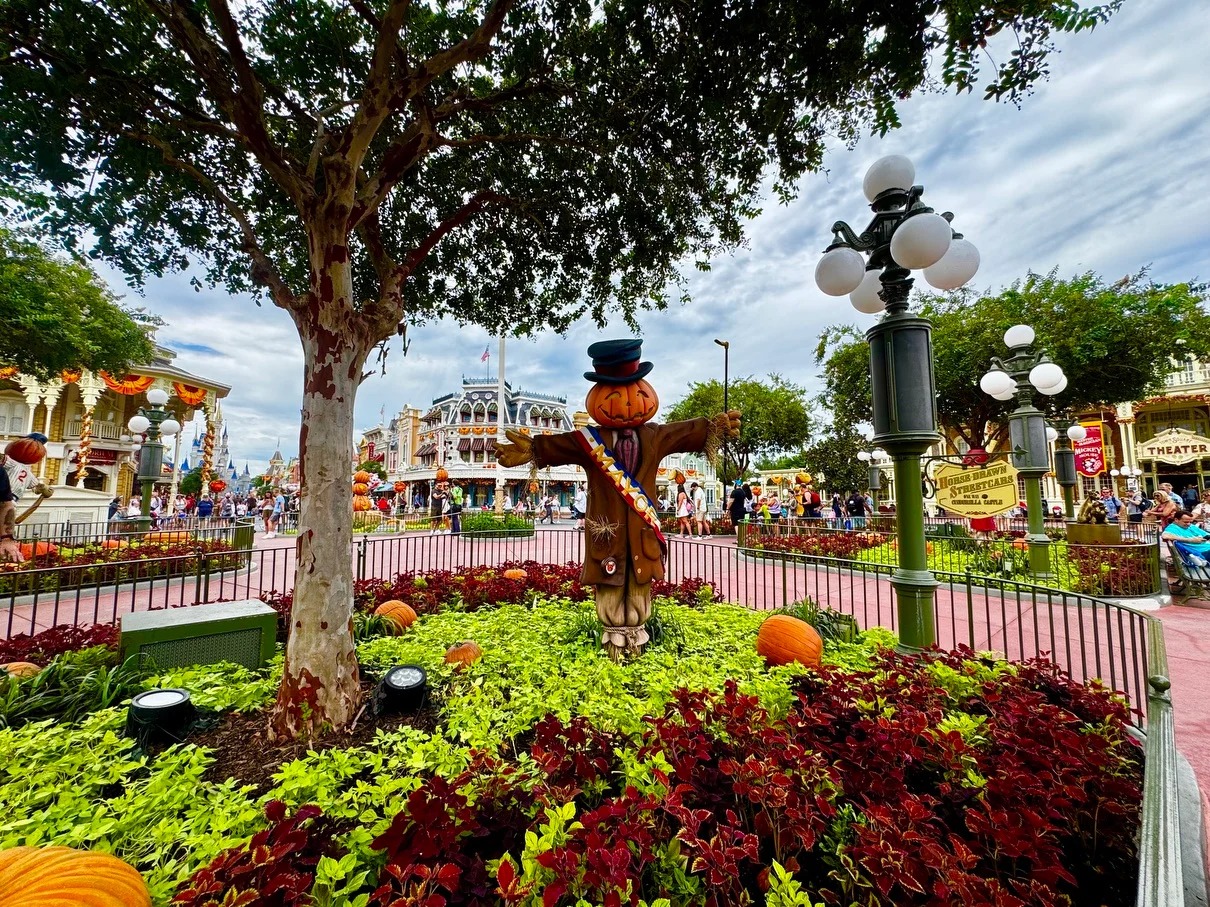 WDW News Today - 'Darth on a Hearth' Inspired by Elf on... | Facebook