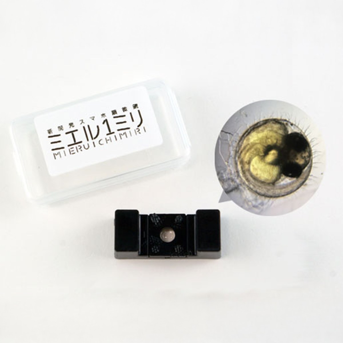 ?科学者への第一歩！本格的なガラス実験器具セット? 【マイラボ 