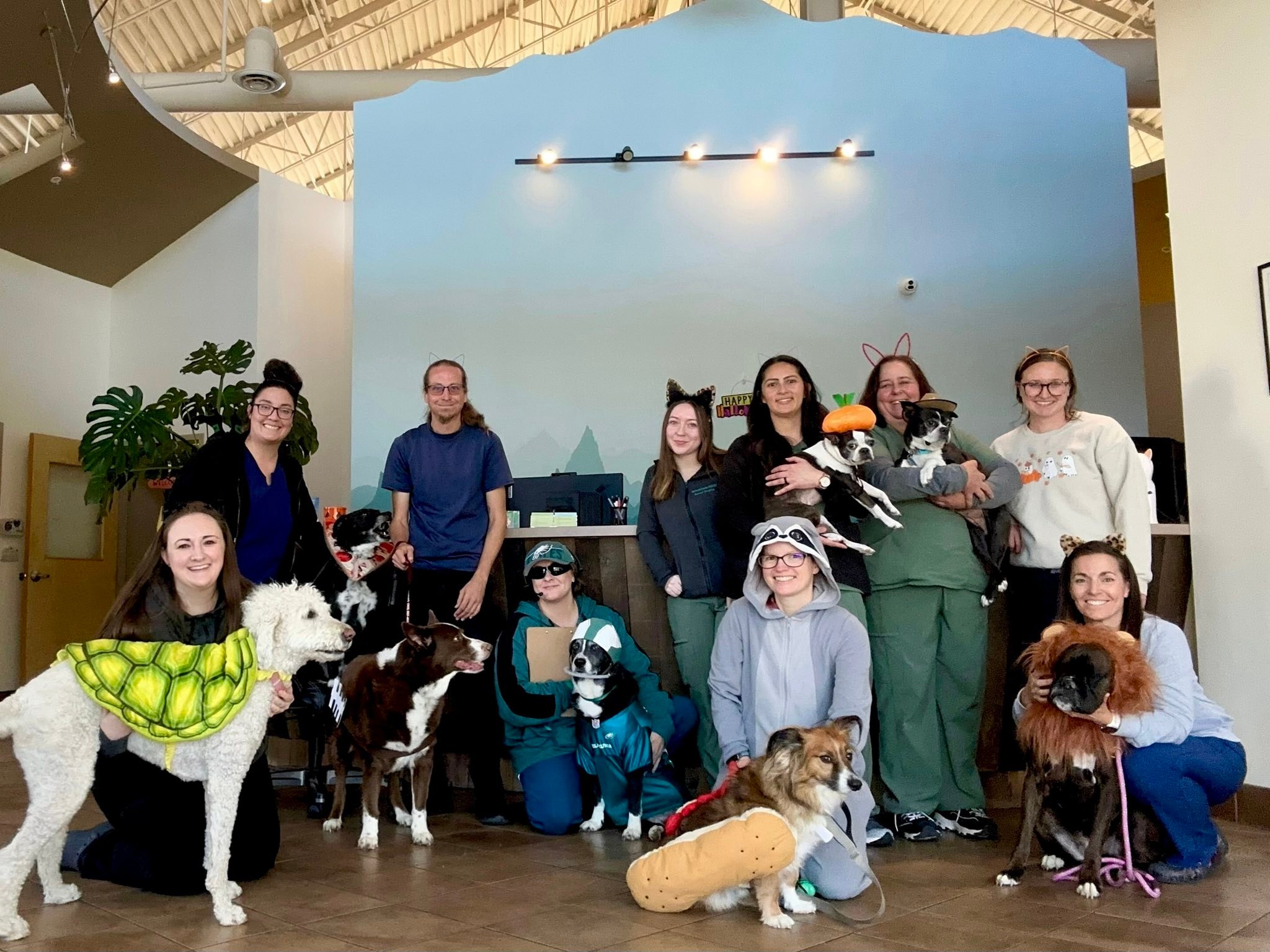 👻🎃 From all of us (and... - Mountain Ridge Animal Hospital | Facebook