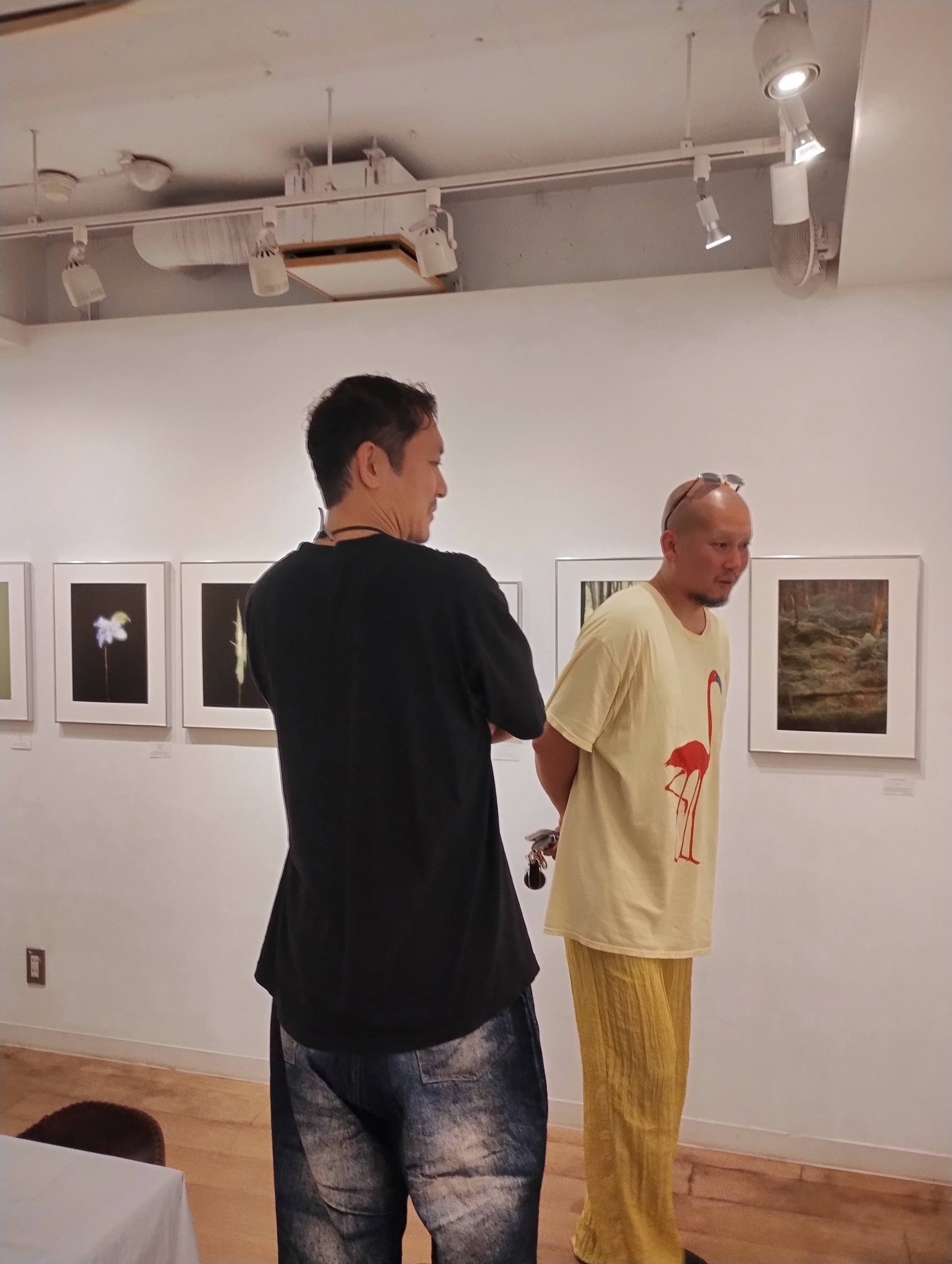シマンスキー　菅井汲　8点入『パブリック・ローズ：ブルスバーグ文書』0723ZC Gallery Storks - Gallery Storks added a new photo.