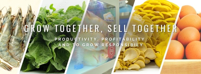 Singapore Agro-Food Enterprises Federation Limited - SAFEF