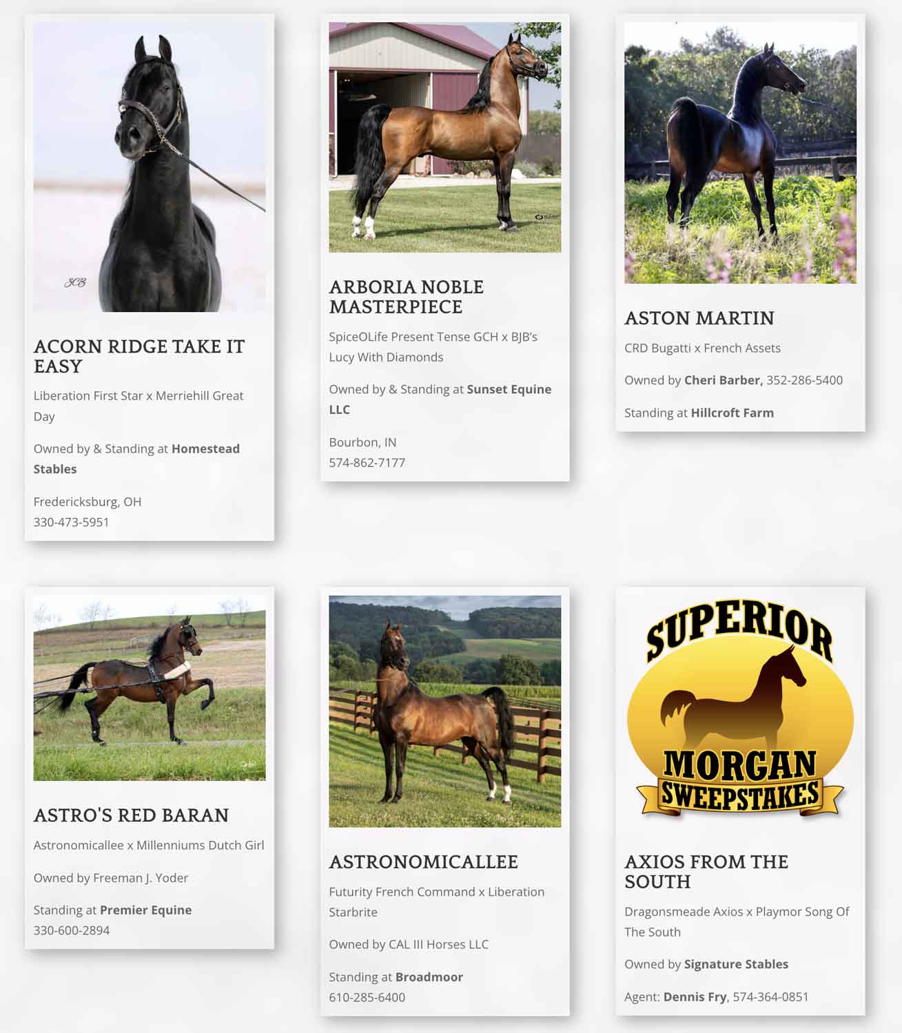 💲 ATTENTION BREEDERS 💲 30 mins after the last horse sells today