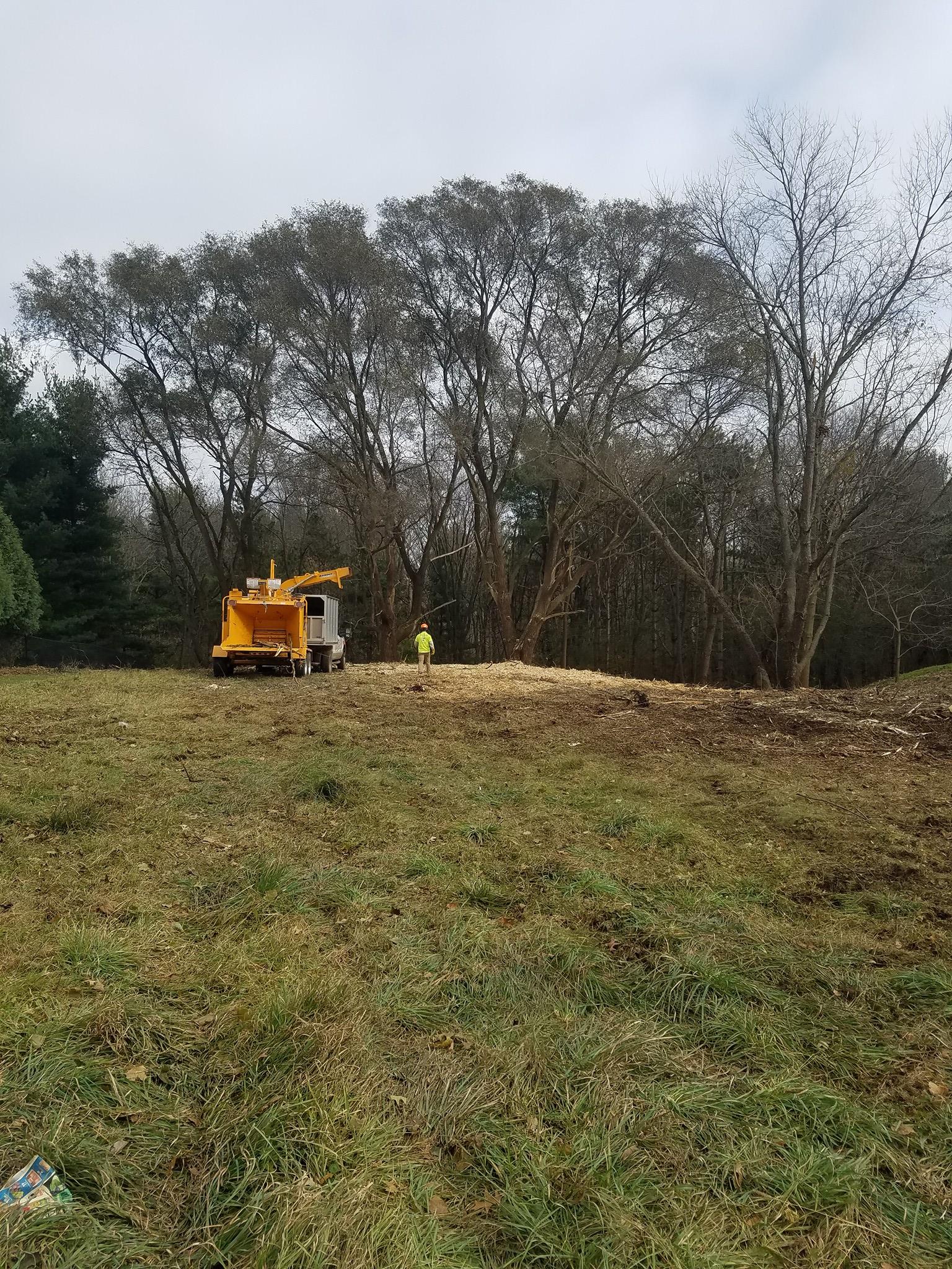 Rucks tree service - Home
