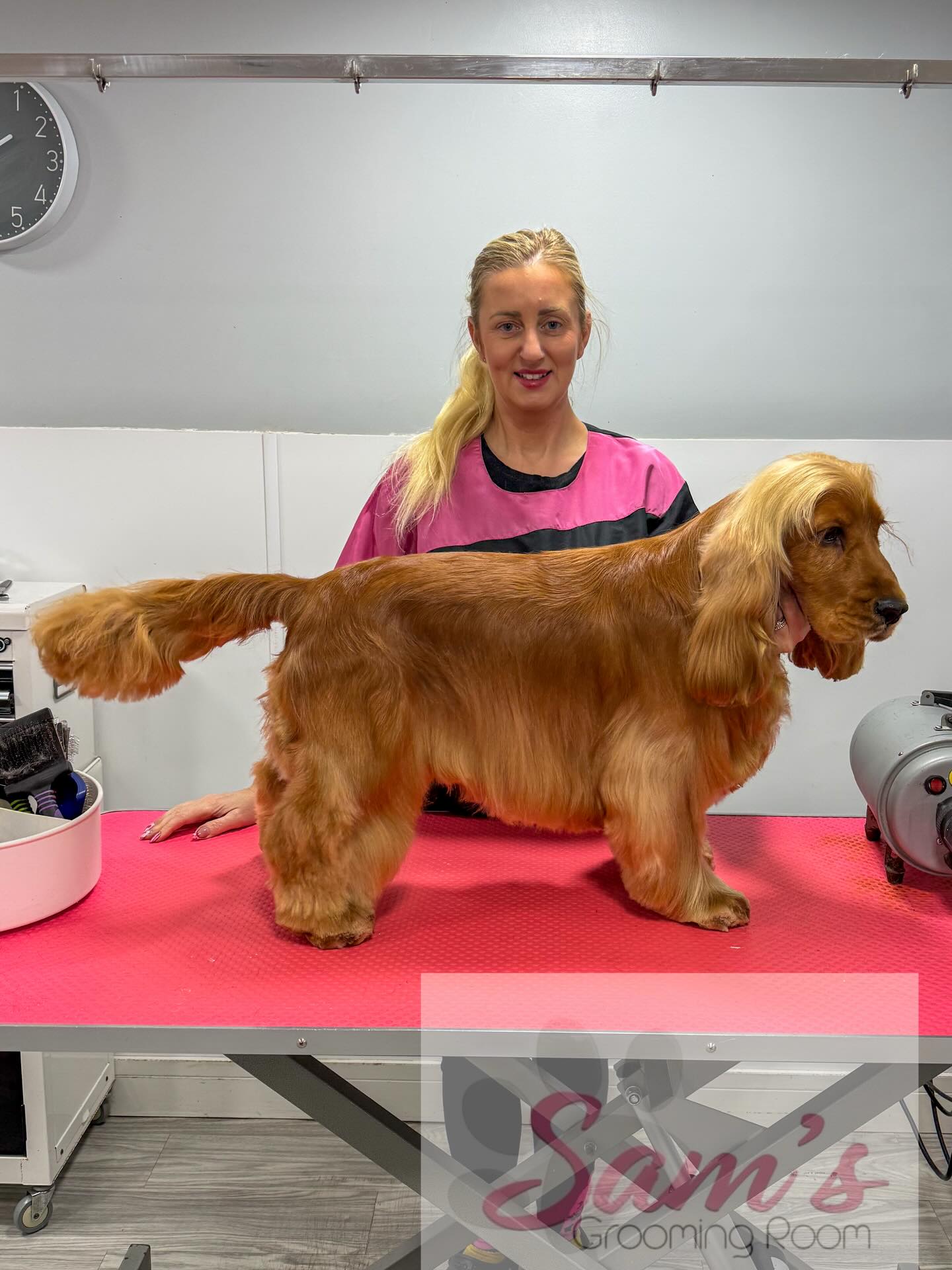 Sam's Grooming Room NEATH... - Sam's Grooming Room NEATH
