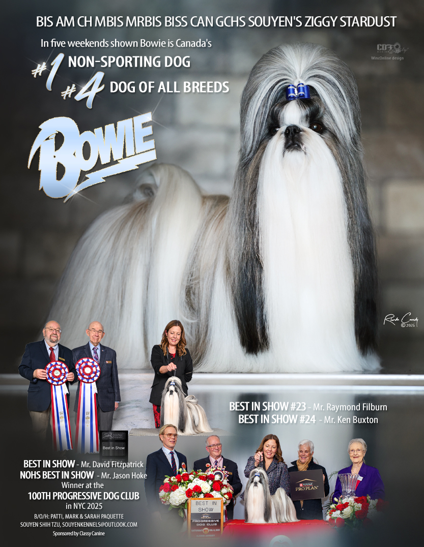 CDF Weekly Winner!! We... - Canadian Dog Fancier | Facebook
