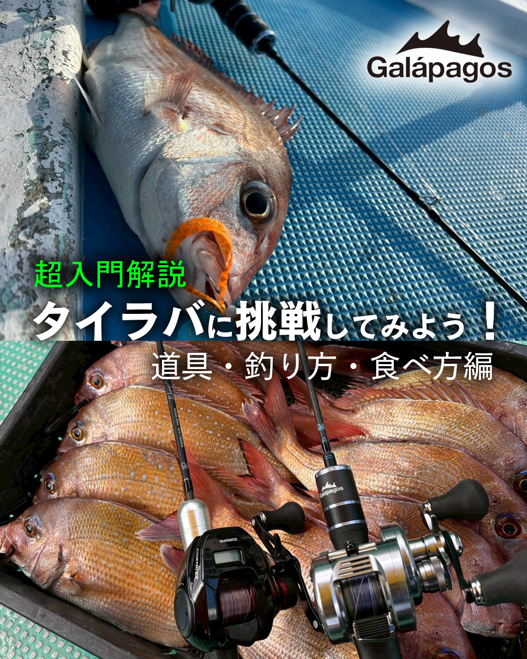 今回のGalápagos連載「タカシマムザホルモンの【月刊】たいのきもち