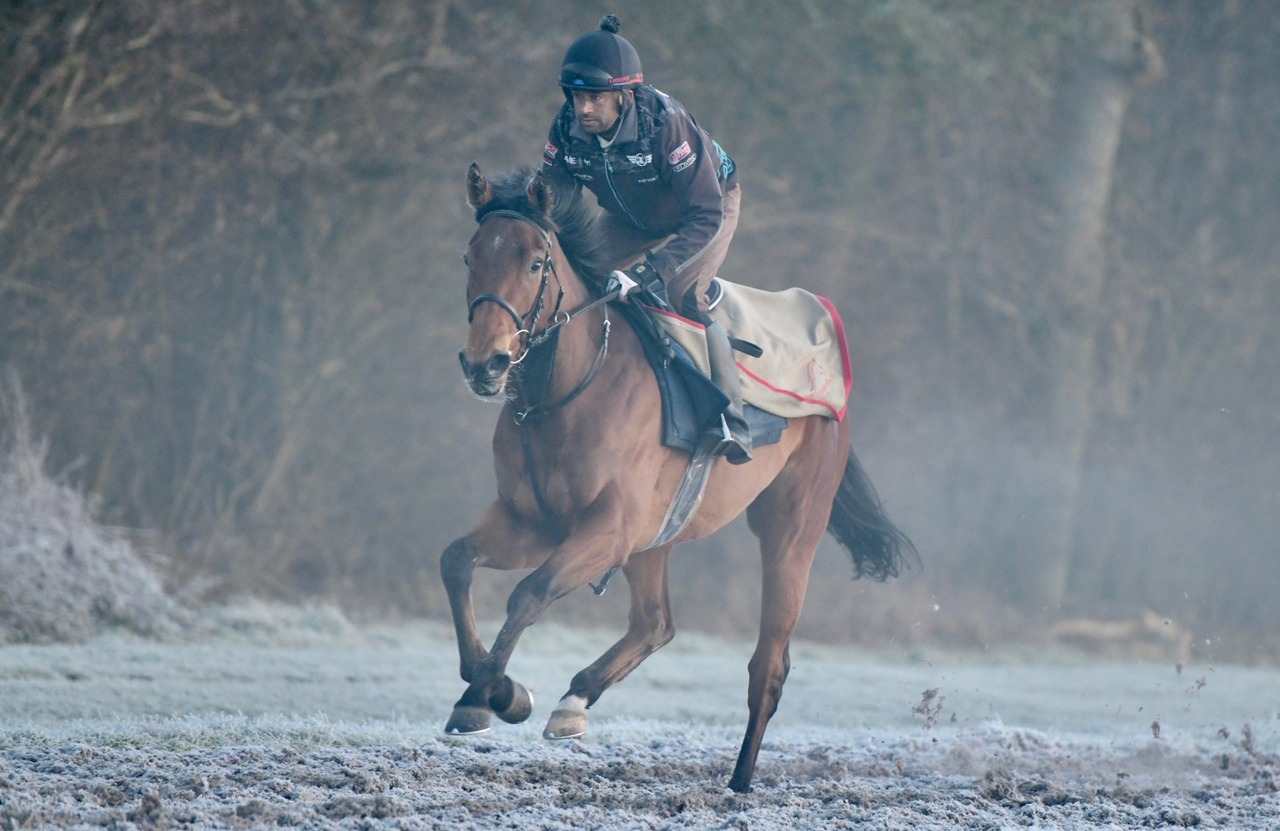 Oliver Cole Racing at Whatcombe. | Wantage
