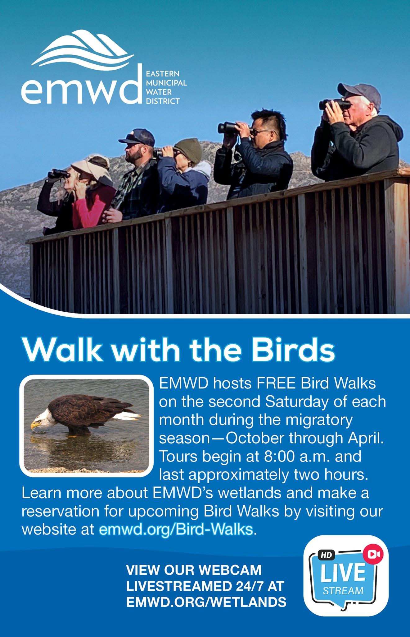 Menifee - Sponsored post: This is the season to see migratory birds in ...