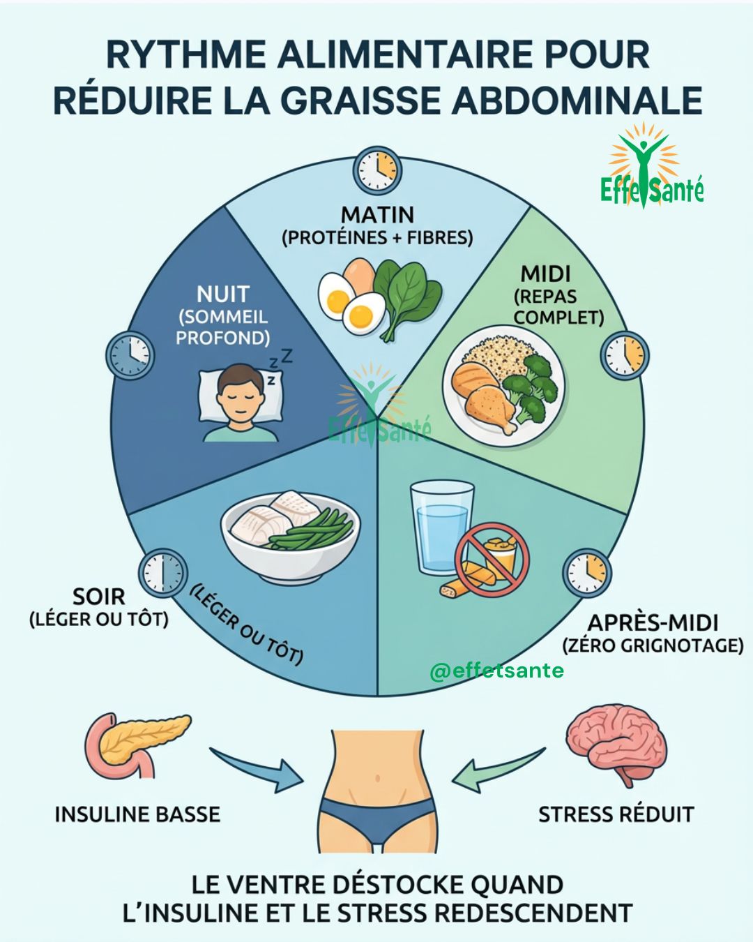 EffetSanté - La graisse abdominale baisse quand le corps se sent en ...