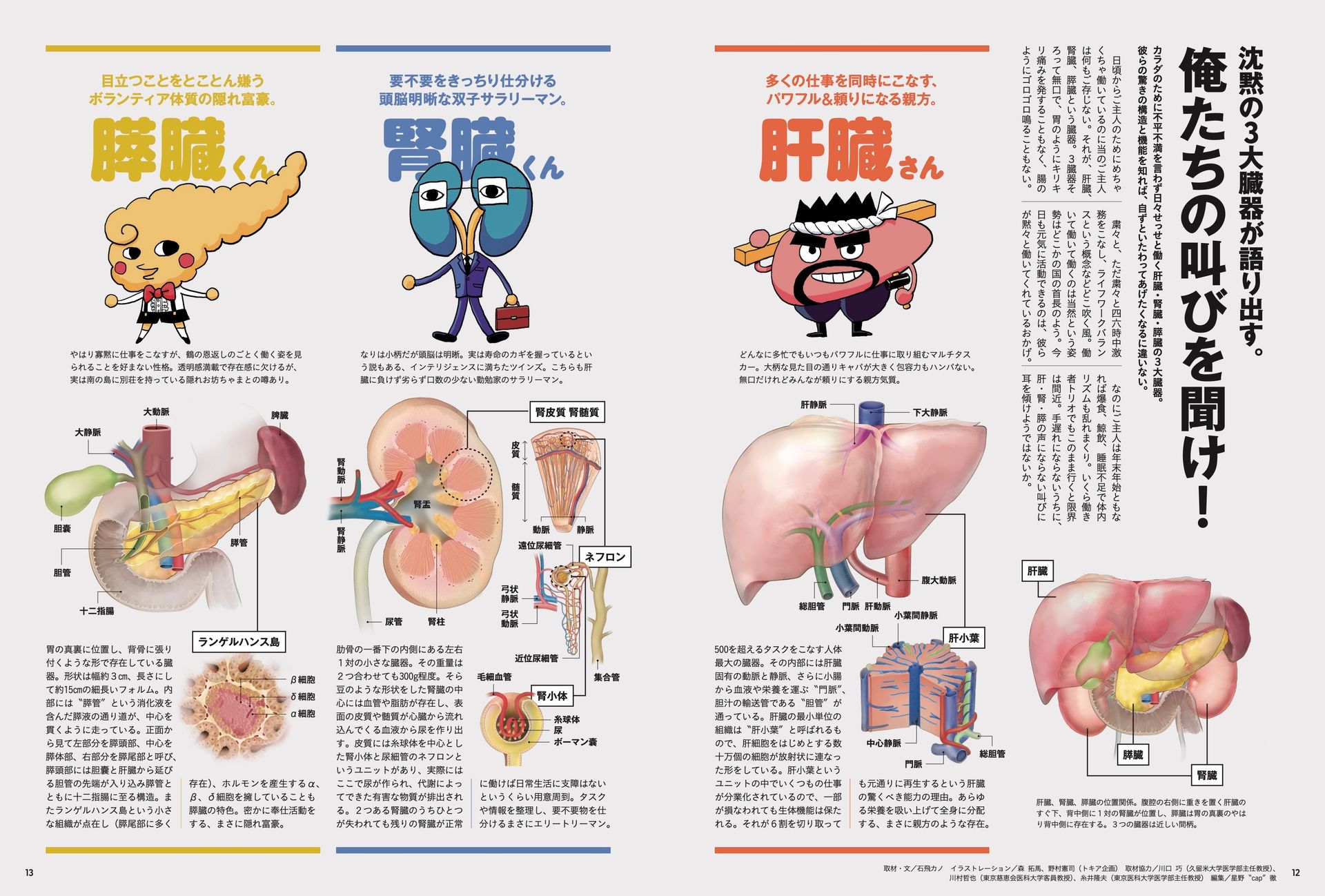 臓器 と は