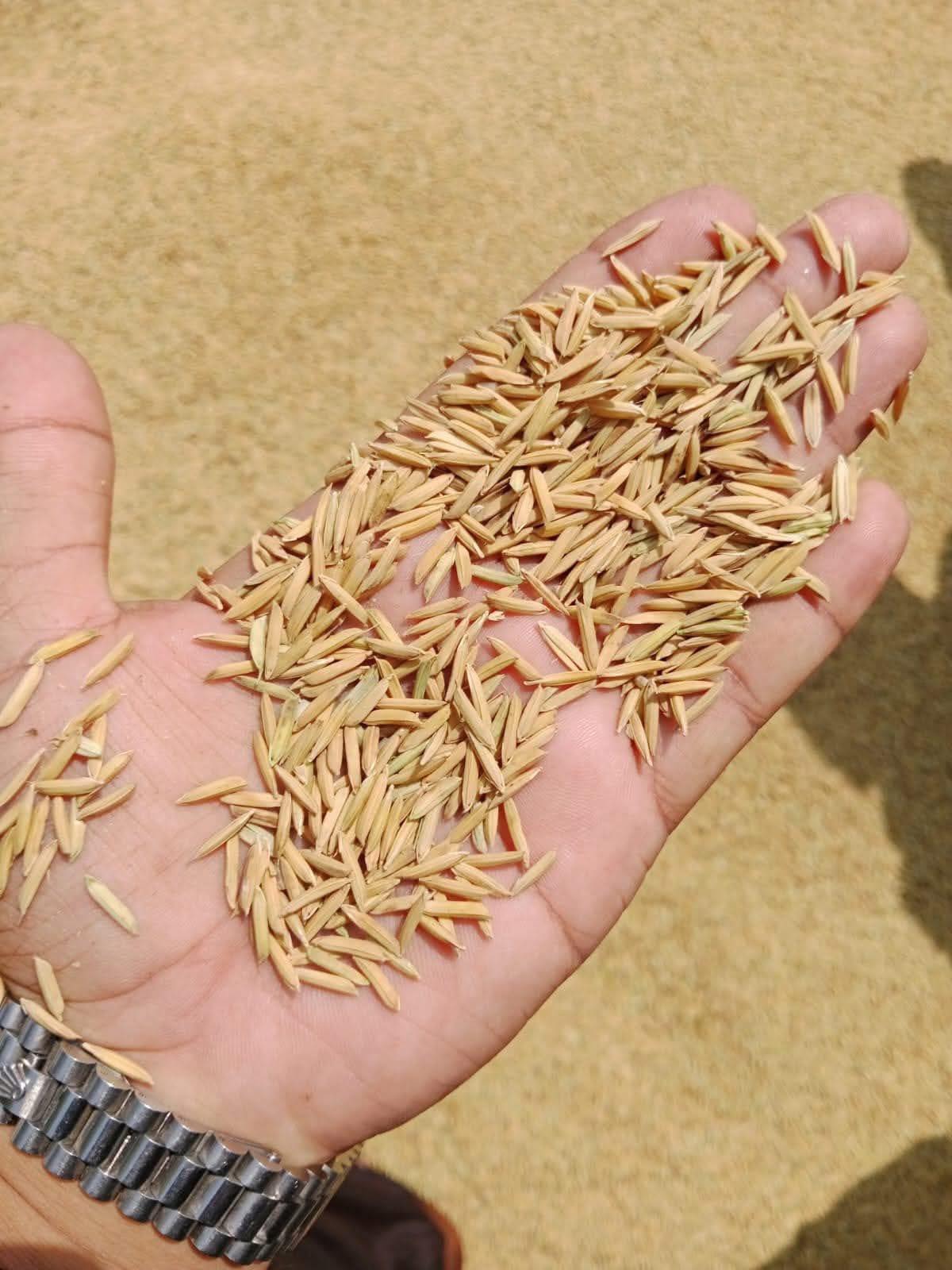 M Yaseen Rice Mills