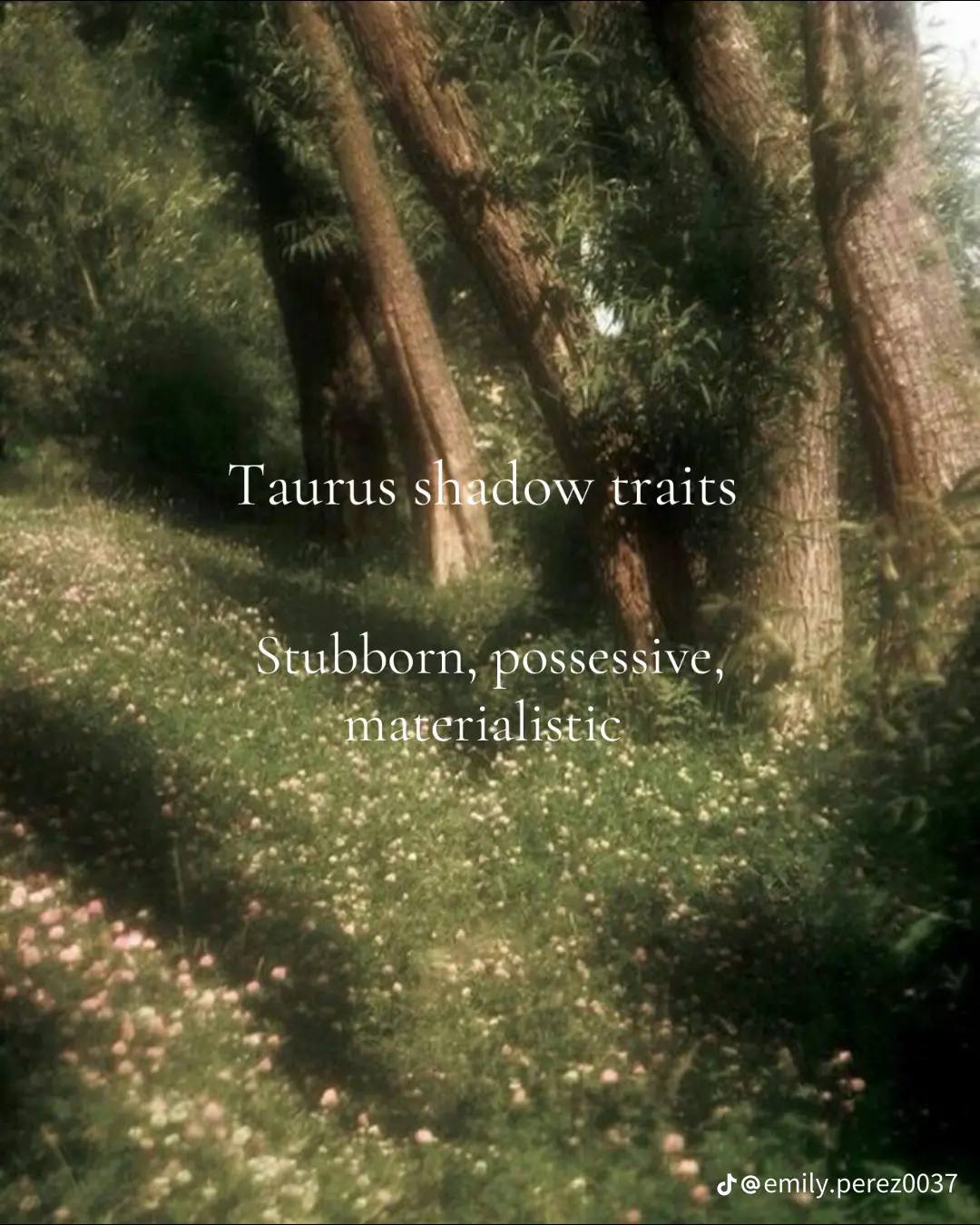 Taurusology - Taurusology added a new photo.
