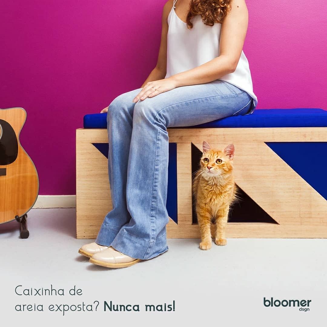Bloomier - ⁣⁣⁣⁣Os felinos são conhecidos por sua extrema... | Facebook