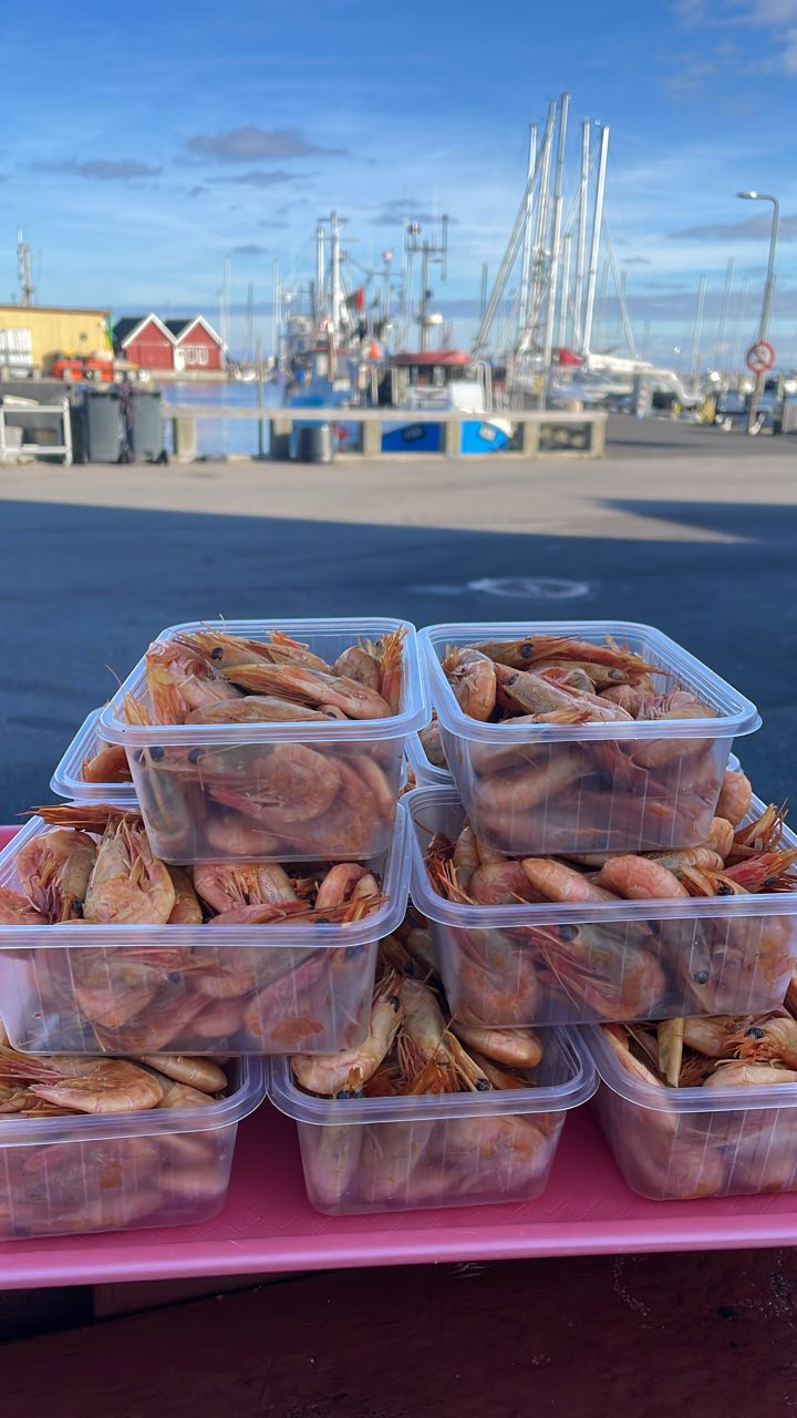 Dragør Røgeri | Dragør