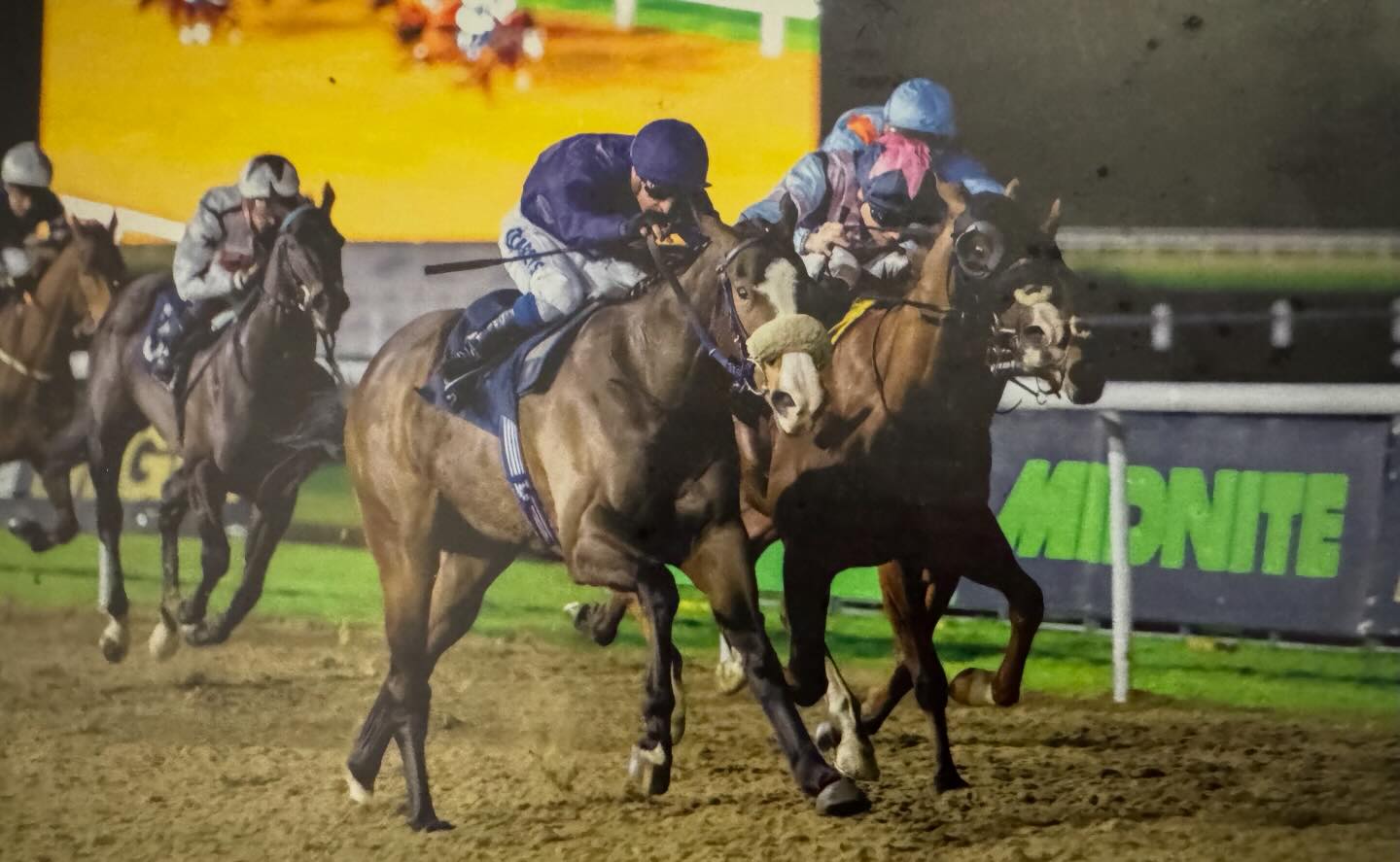 Chelsea Banham Racing | Newmarket
