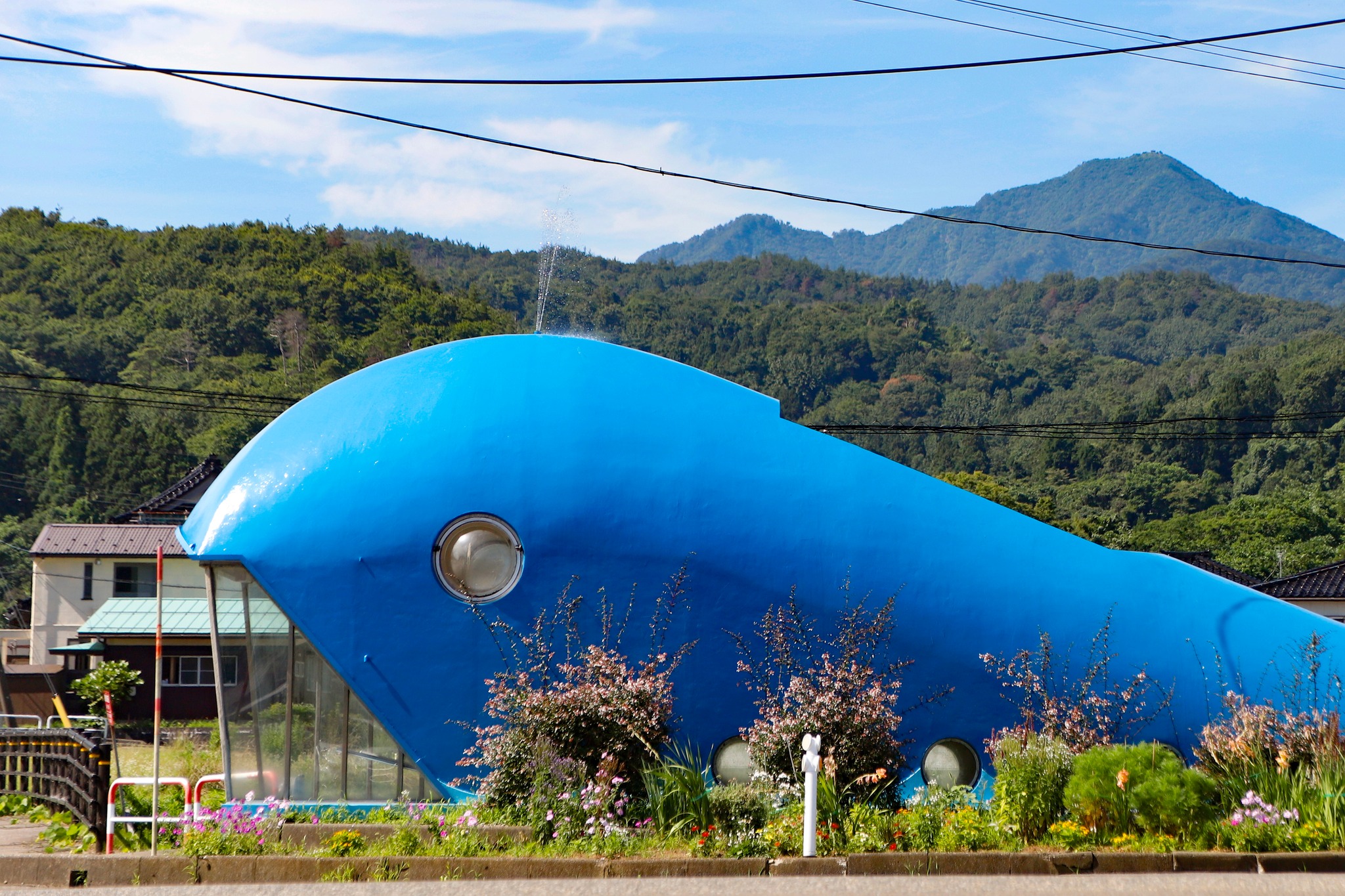今年もクジラの噴水がスタート🐋✨】 柏崎の夏の風物詩といえば、この