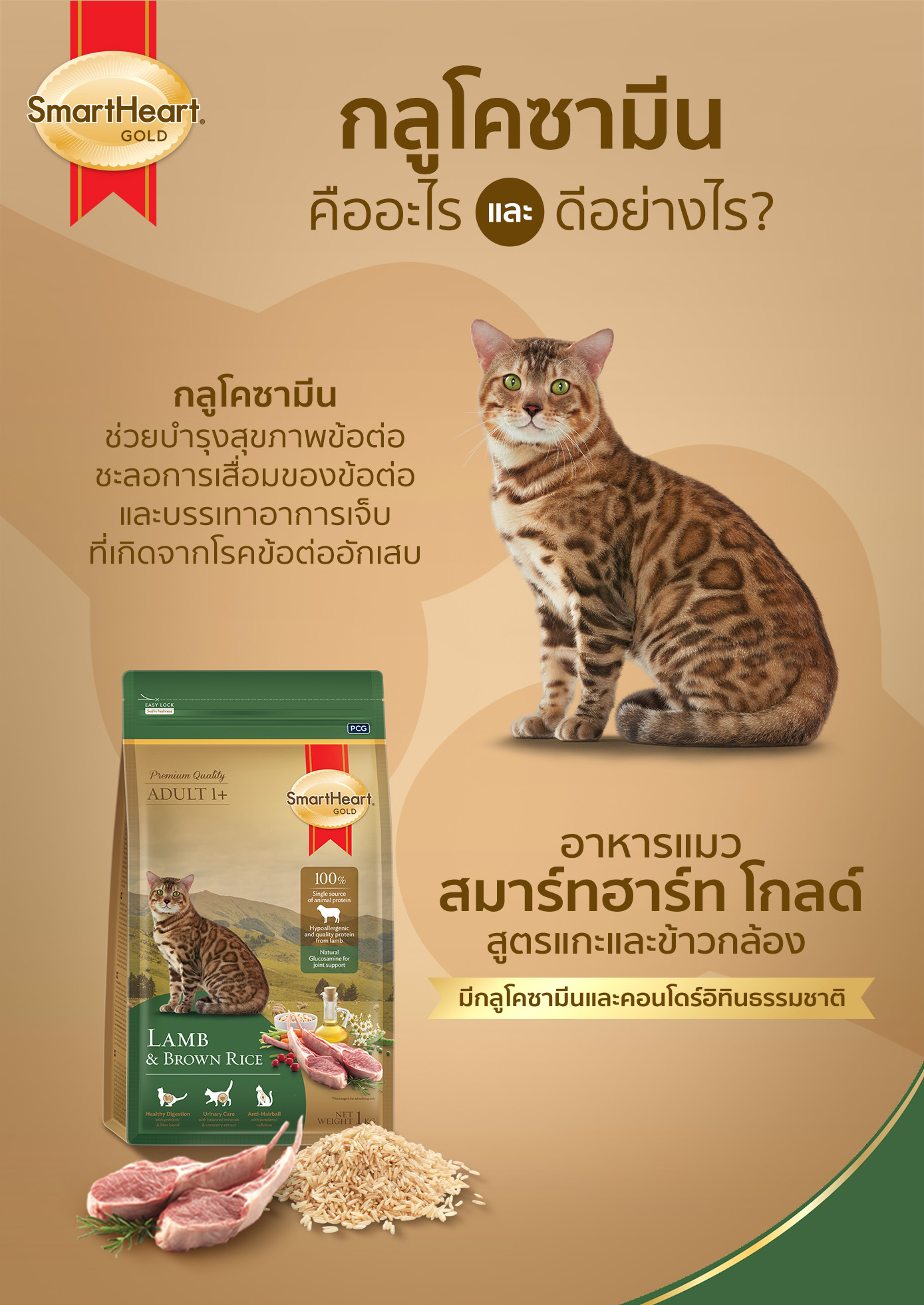 SmartHeart Gold - 🤔ไขข้อสงสัย!! กลูโคซามีน (Glucosamine)... | Facebook