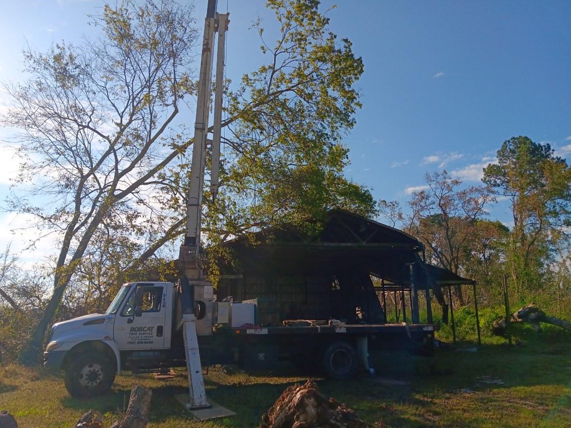 Bobcat Tree Service | Virginia Beach VA