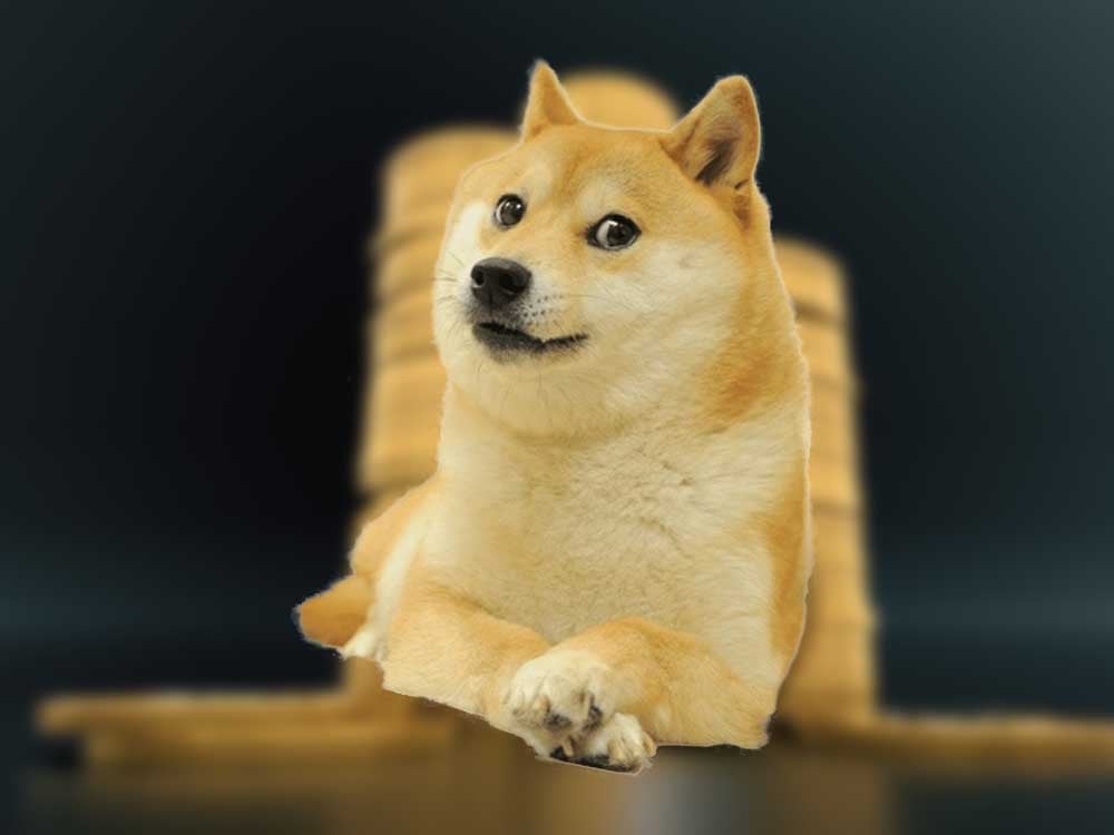 Tadaima Shoppu