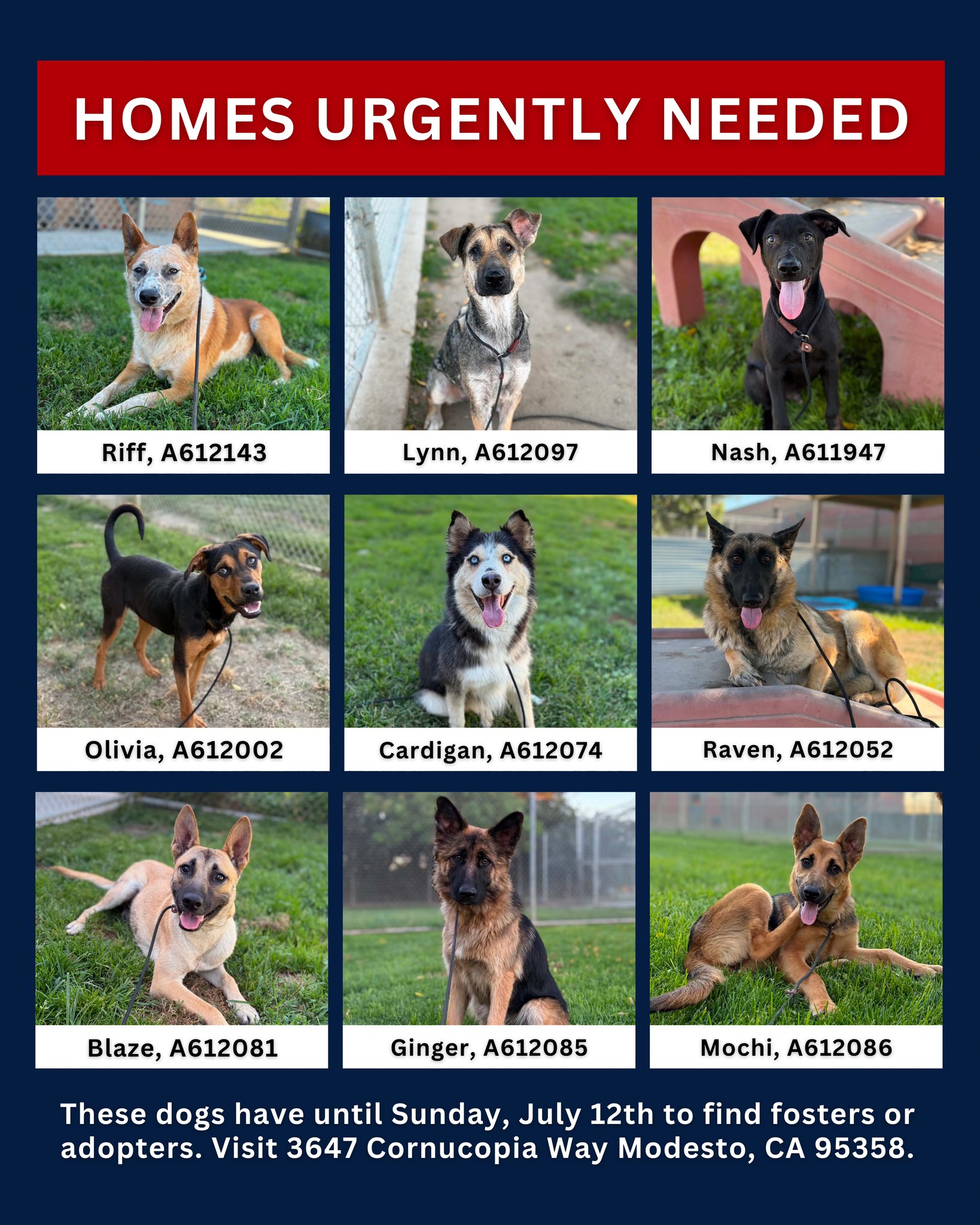 Stanislaus Animal - Stanislaus Animal Services Agency