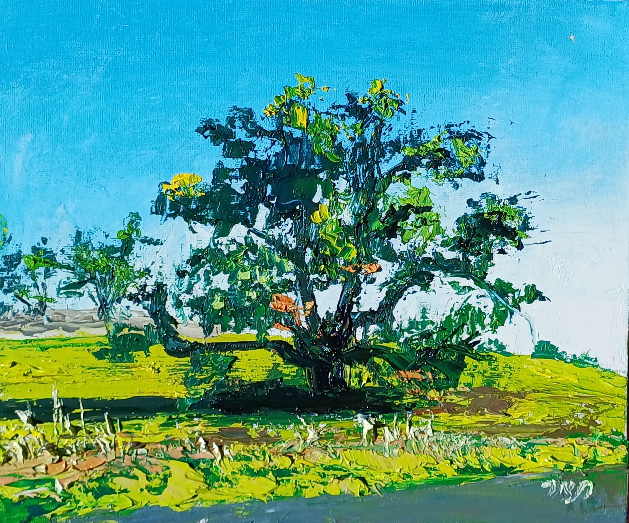 Tamar Rund Artwork
